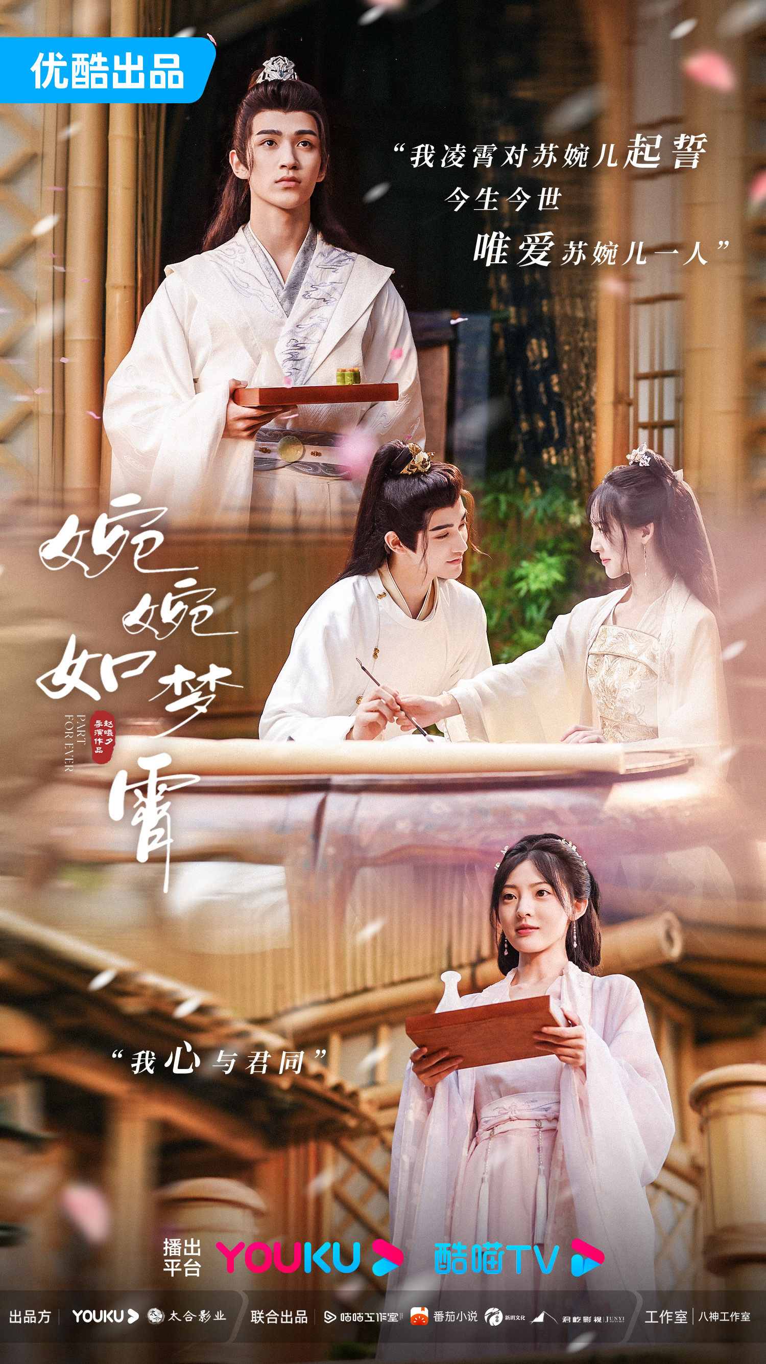 婉婉如梦霄的海报-正式海报