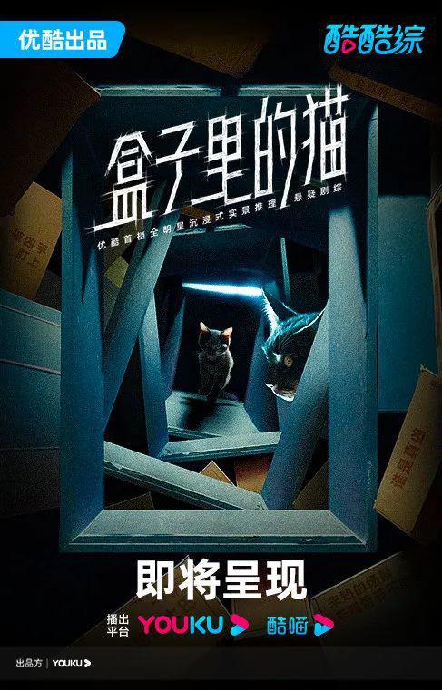 盒子里的猫的海报-预告海报