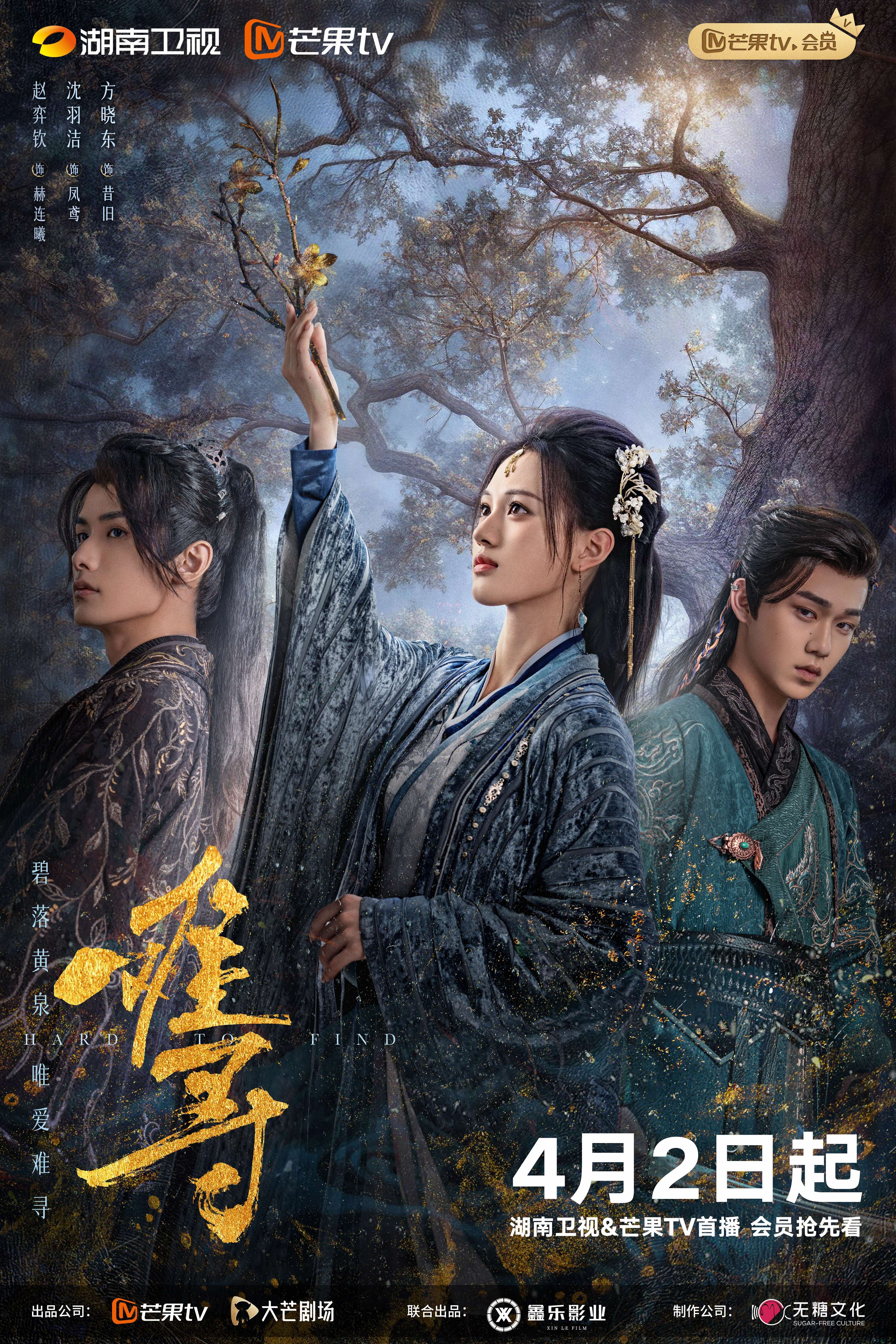 难寻的海报-正式海报