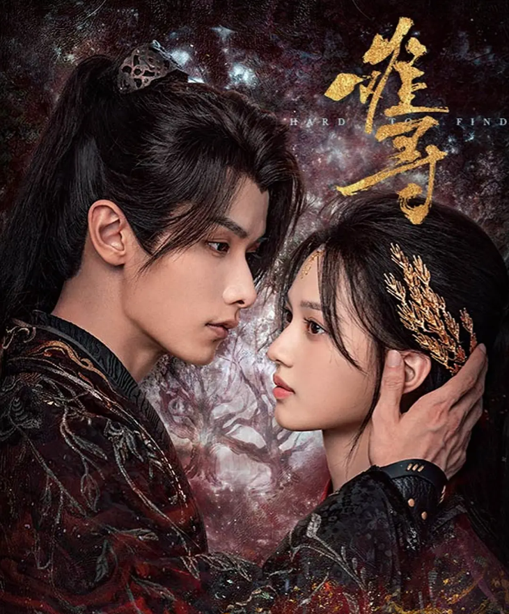 难寻的海报-其他海报 中国大陆