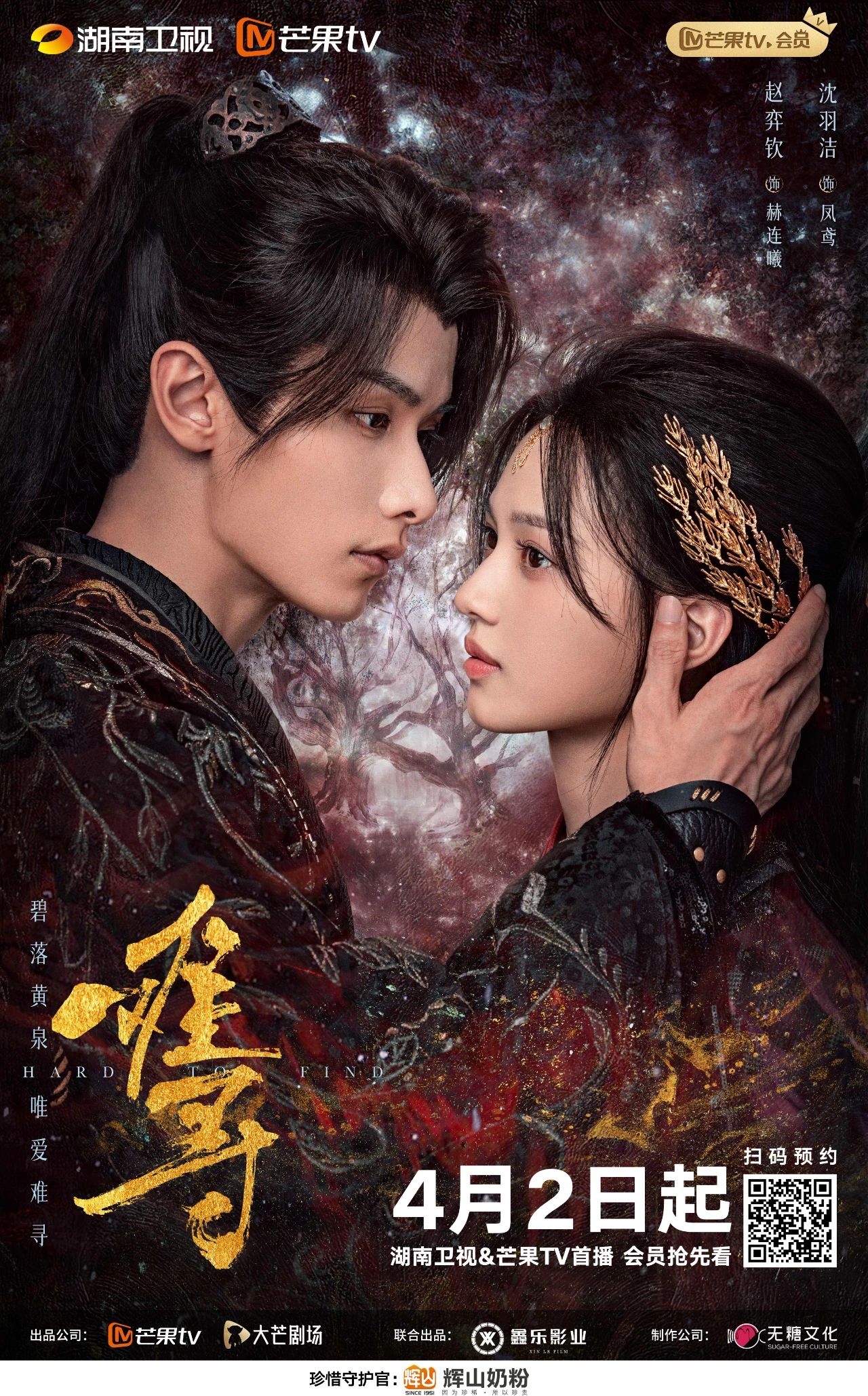 难寻的海报-正式海报