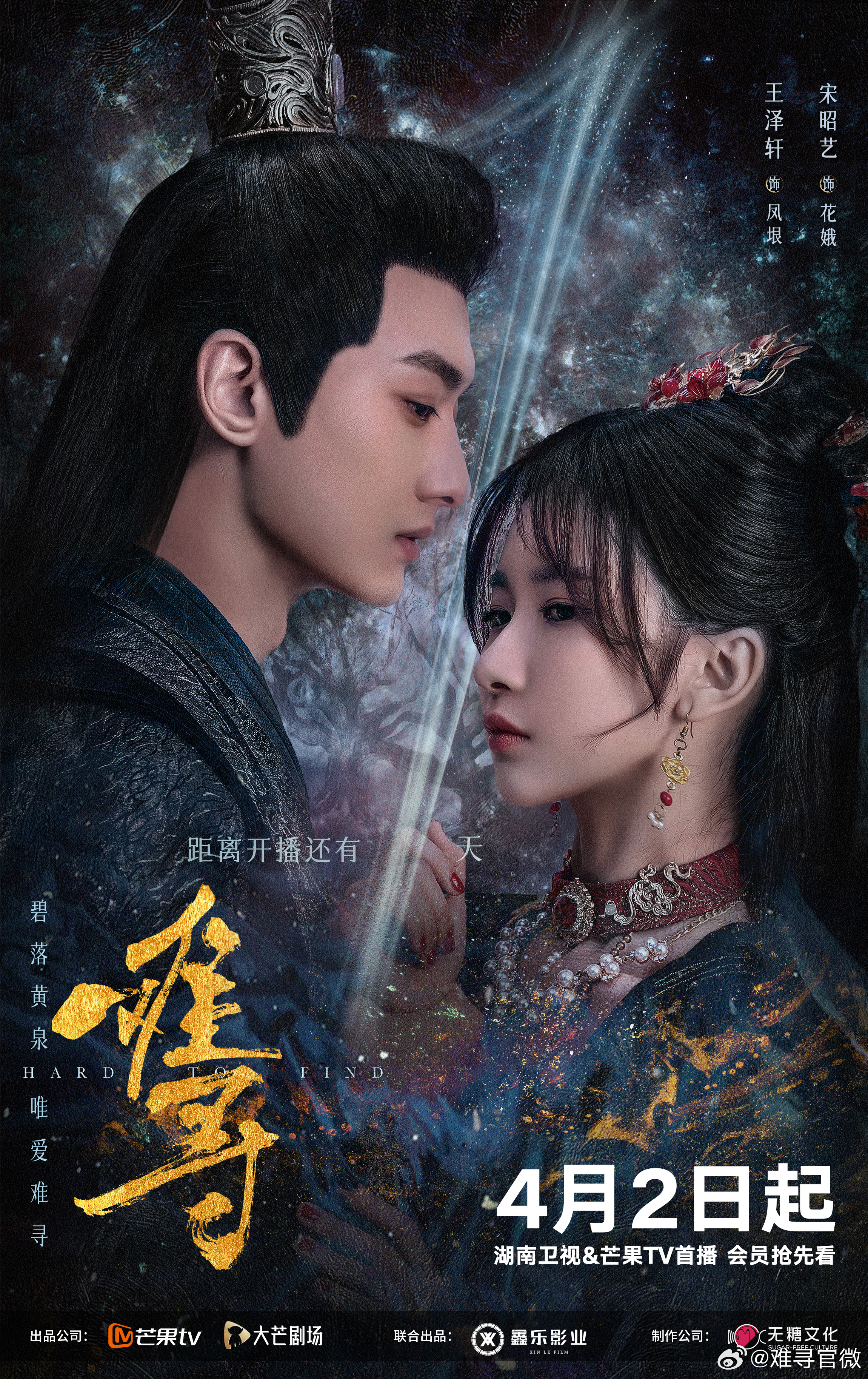 难寻的海报-预告海报