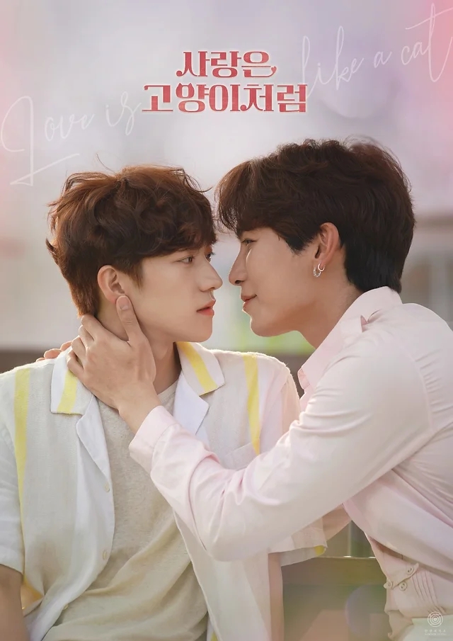 爱情像猫一样的海报-正式海报