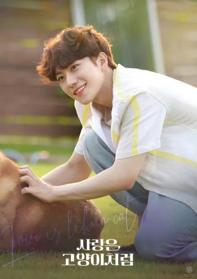 爱情像猫一样的海报-角色海报