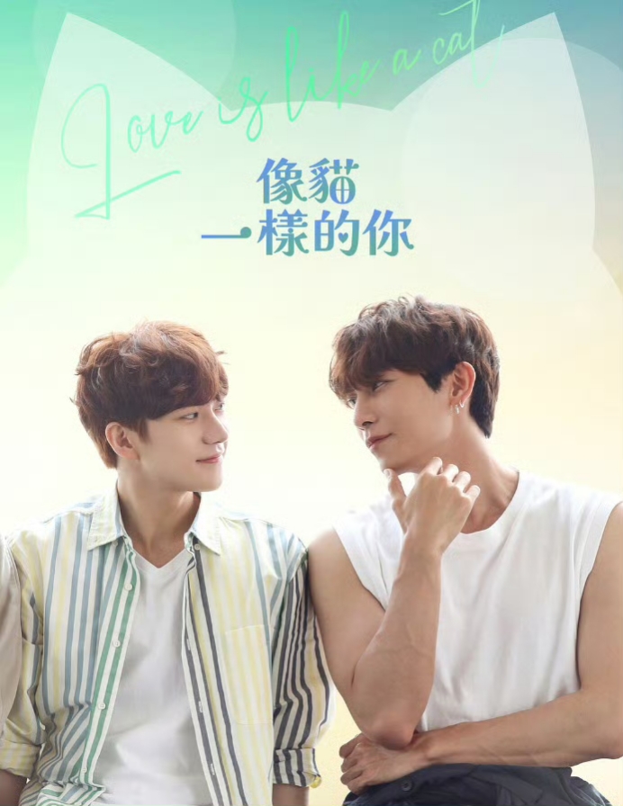 爱情像猫一样的海报-其他海报 中国台湾