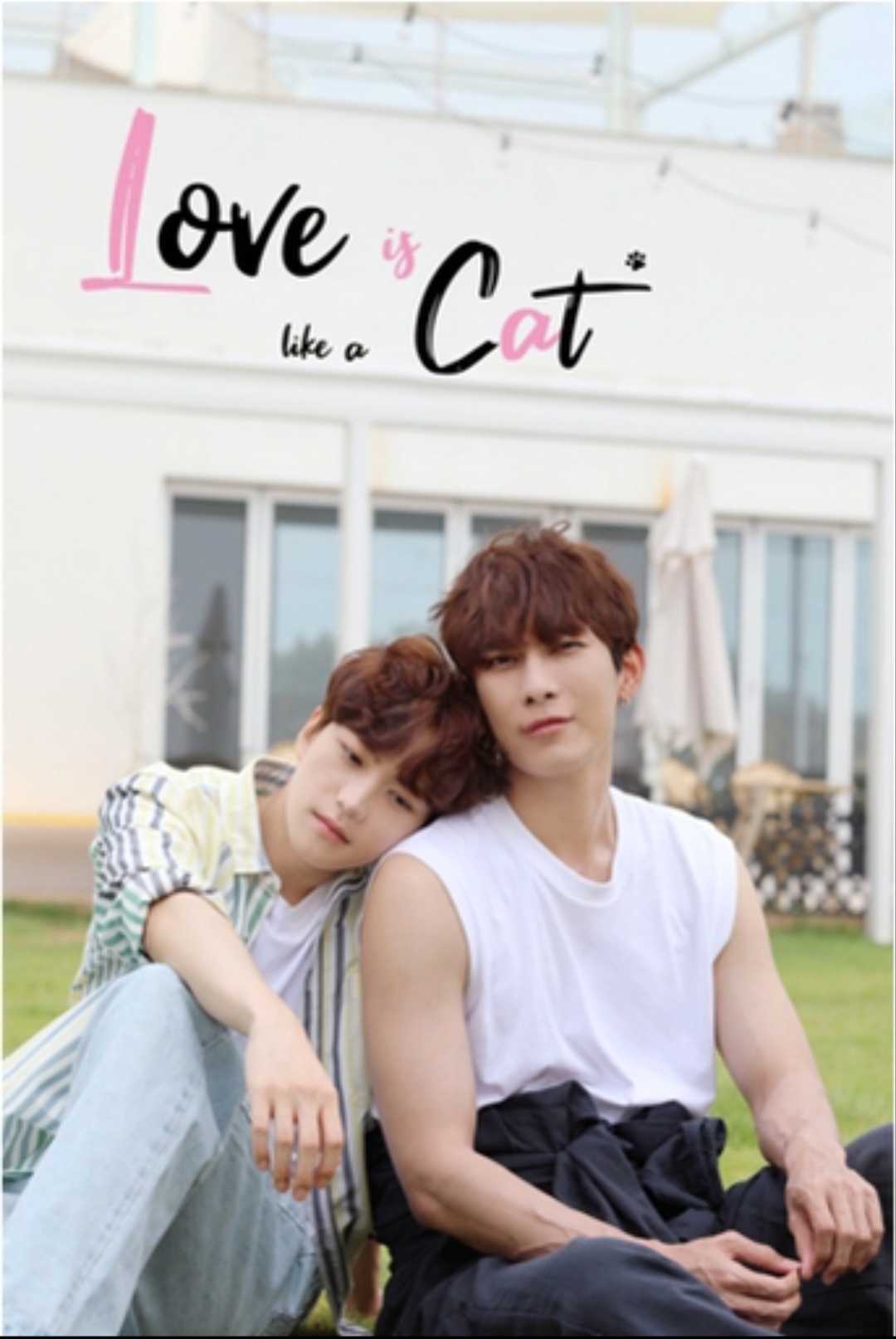 爱情像猫一样的海报-其他海报