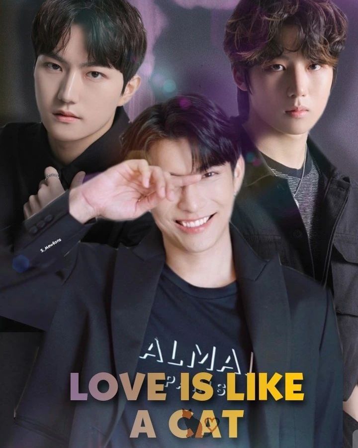 爱情像猫一样的海报-其他海报