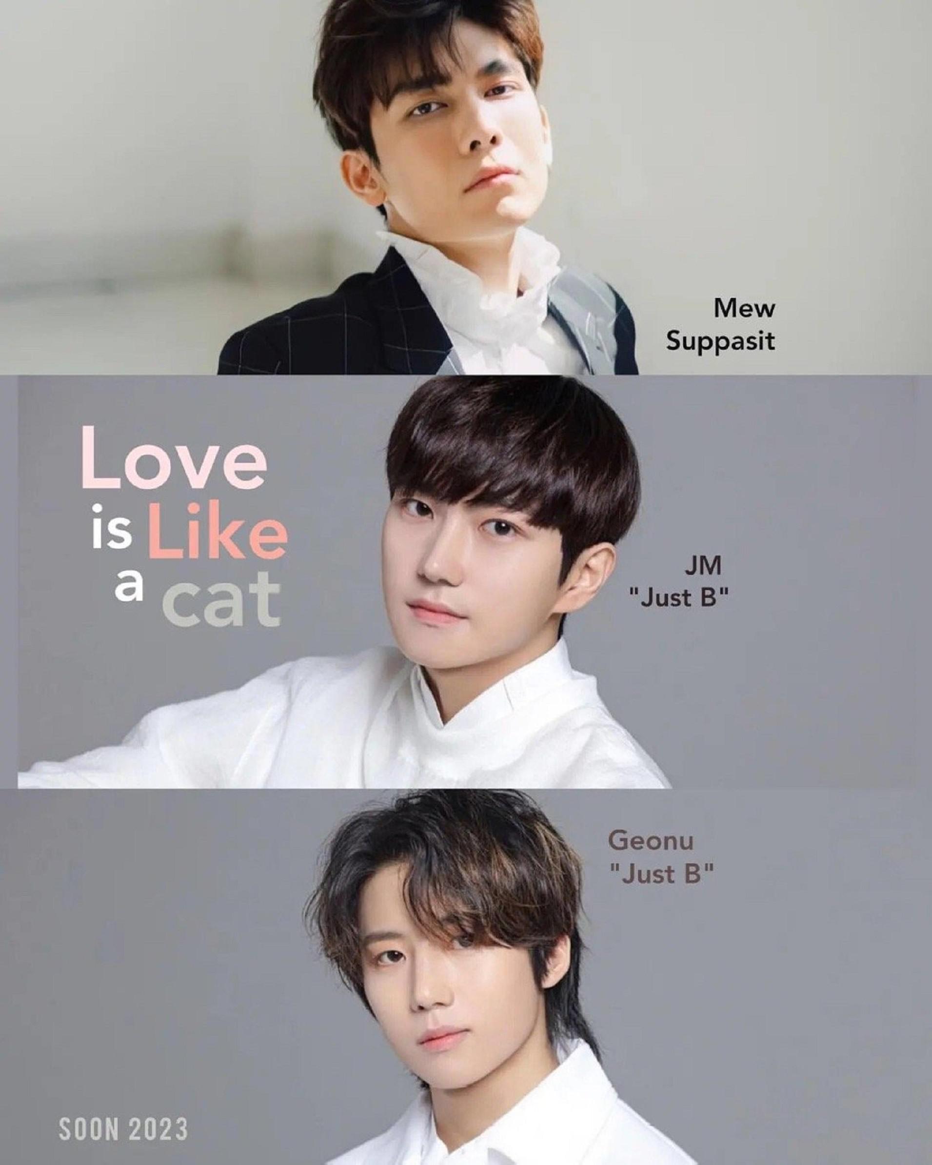 爱情像猫一样的海报-其他海报