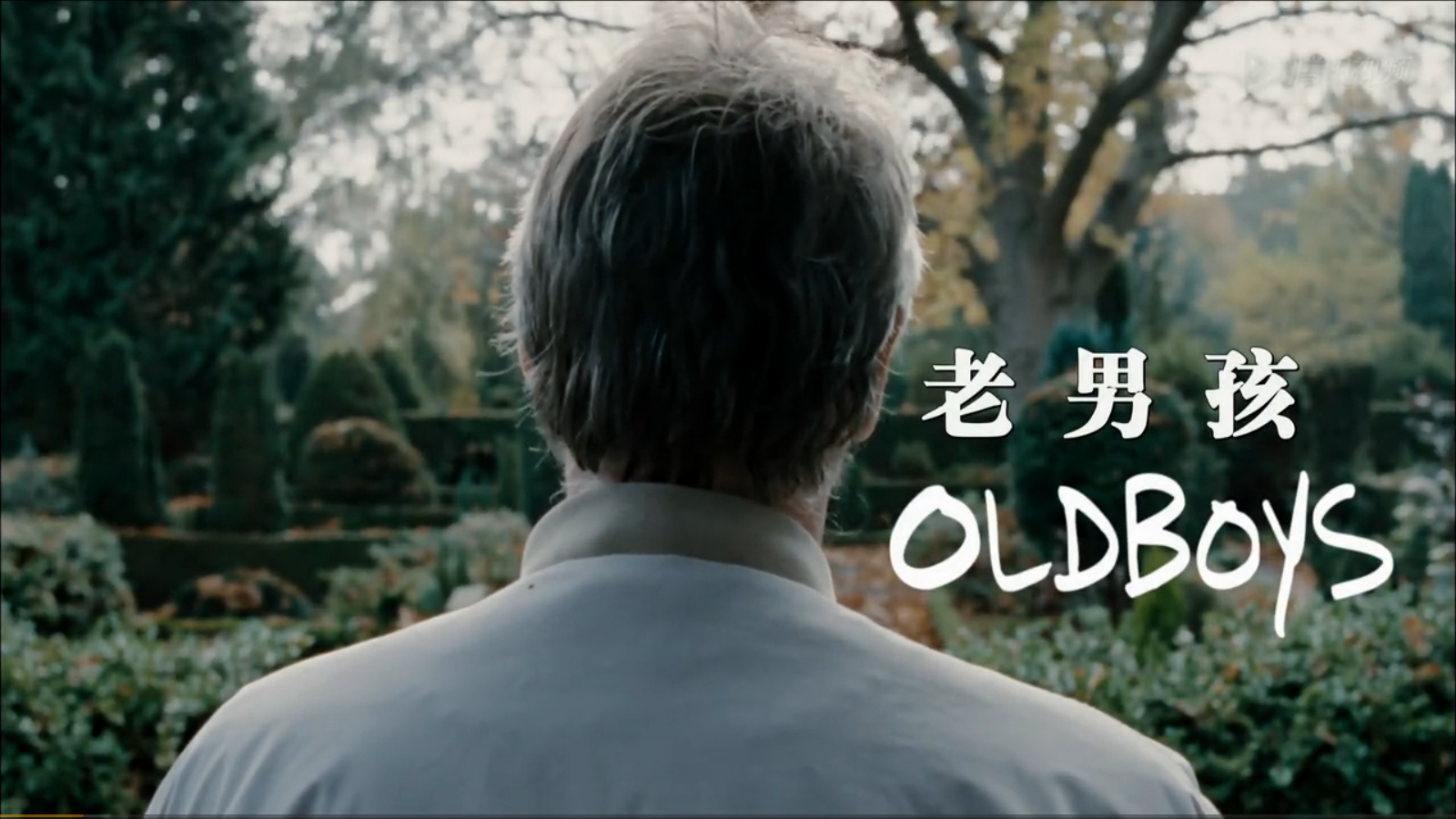 老男孩的海报-其他海报 丹麦