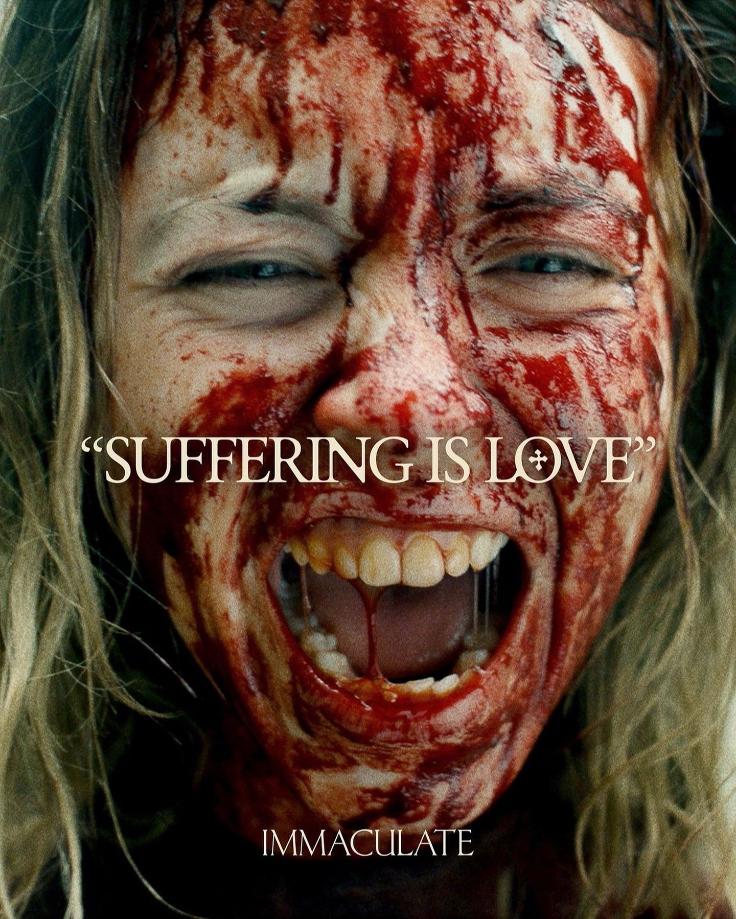 无瑕修女的海报-预告海报 美国