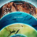 我们的生物世界