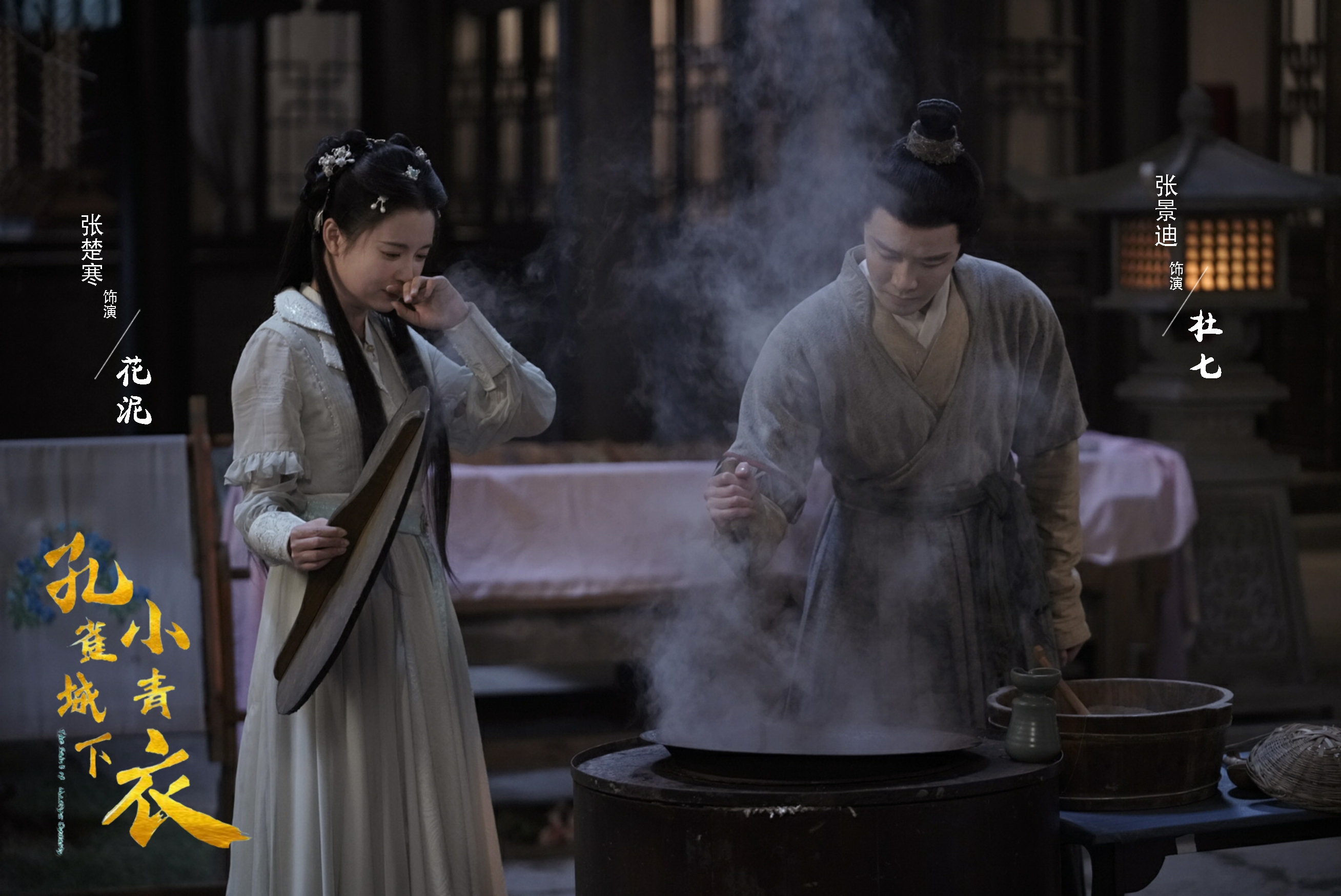 孔雀圣使请动心的海报-预告海报 中国大陆