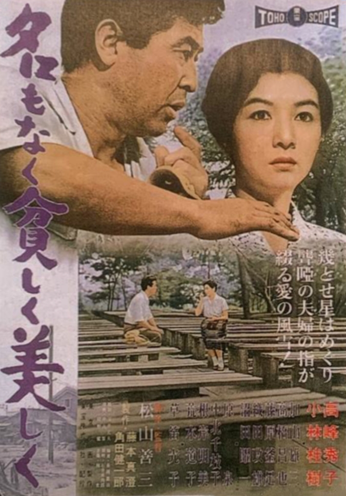 同命鸟的海报-正式海报