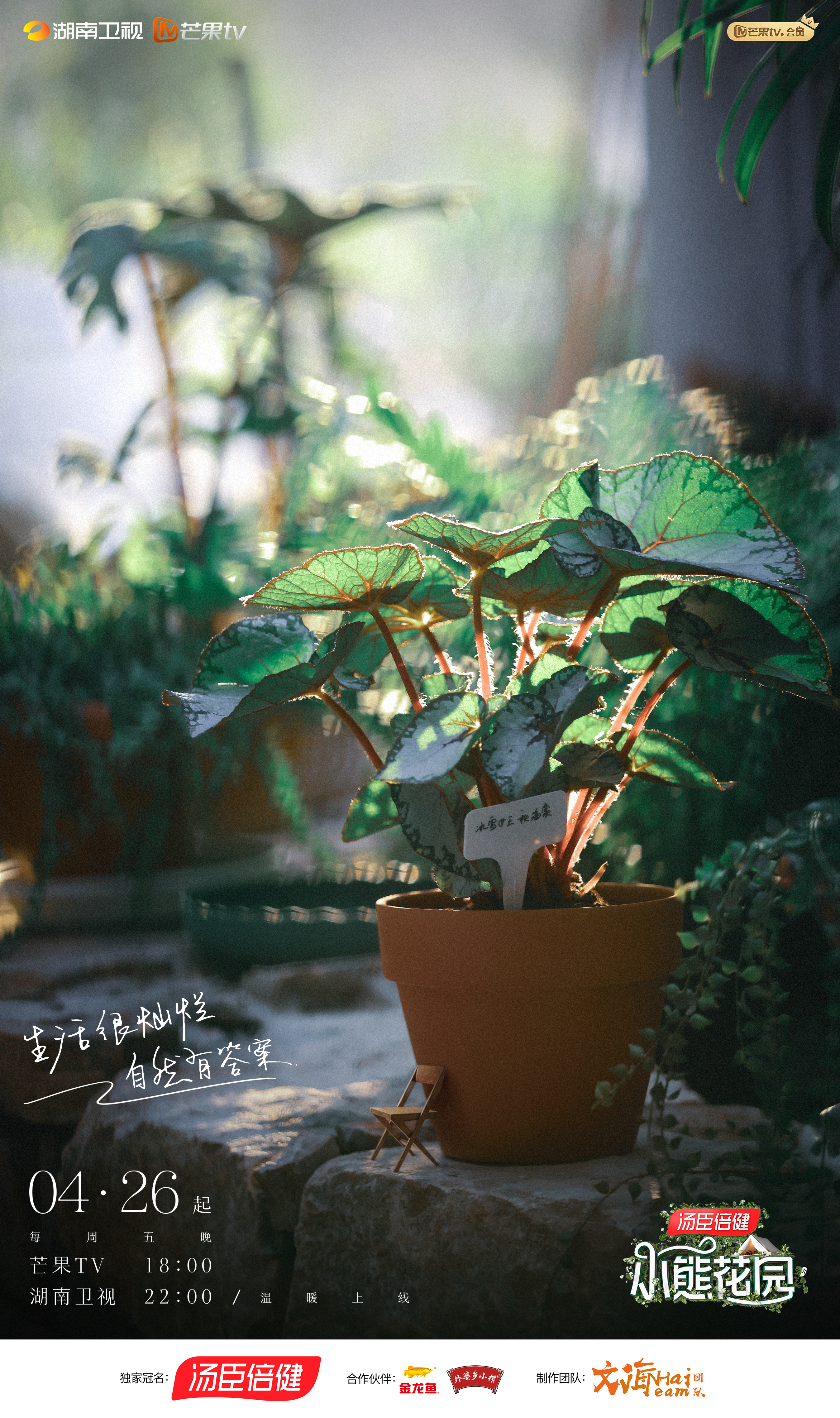 灿烂的花园的海报-预告海报 中国大陆