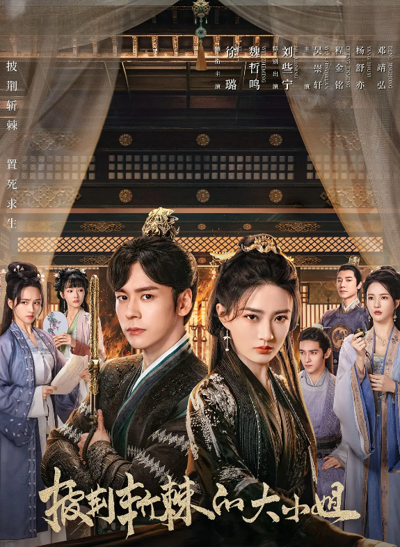 披荆斩棘的大小姐的海报-其他海报 中国大陆