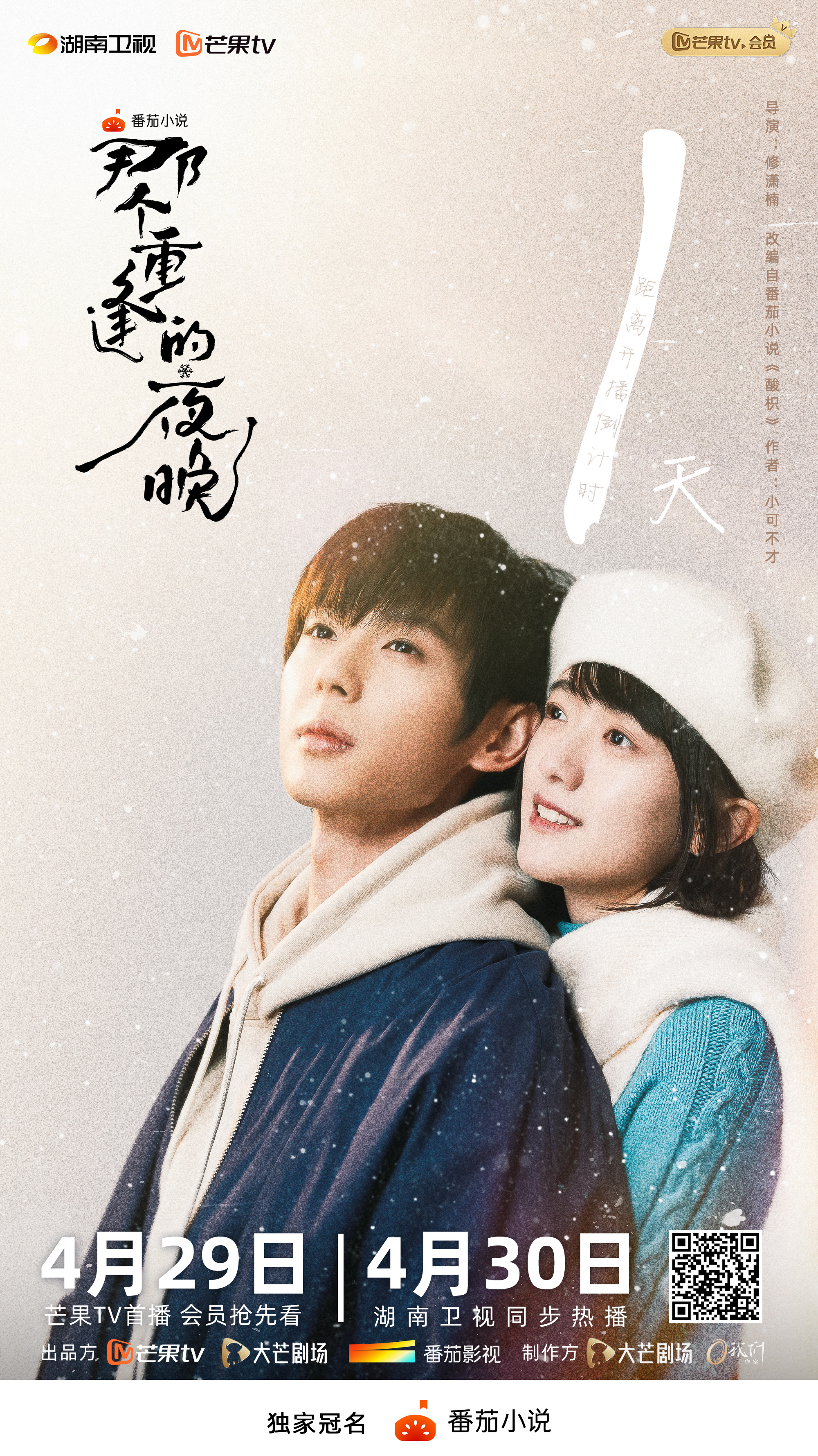 那个重逢的夜晚的海报-预告海报