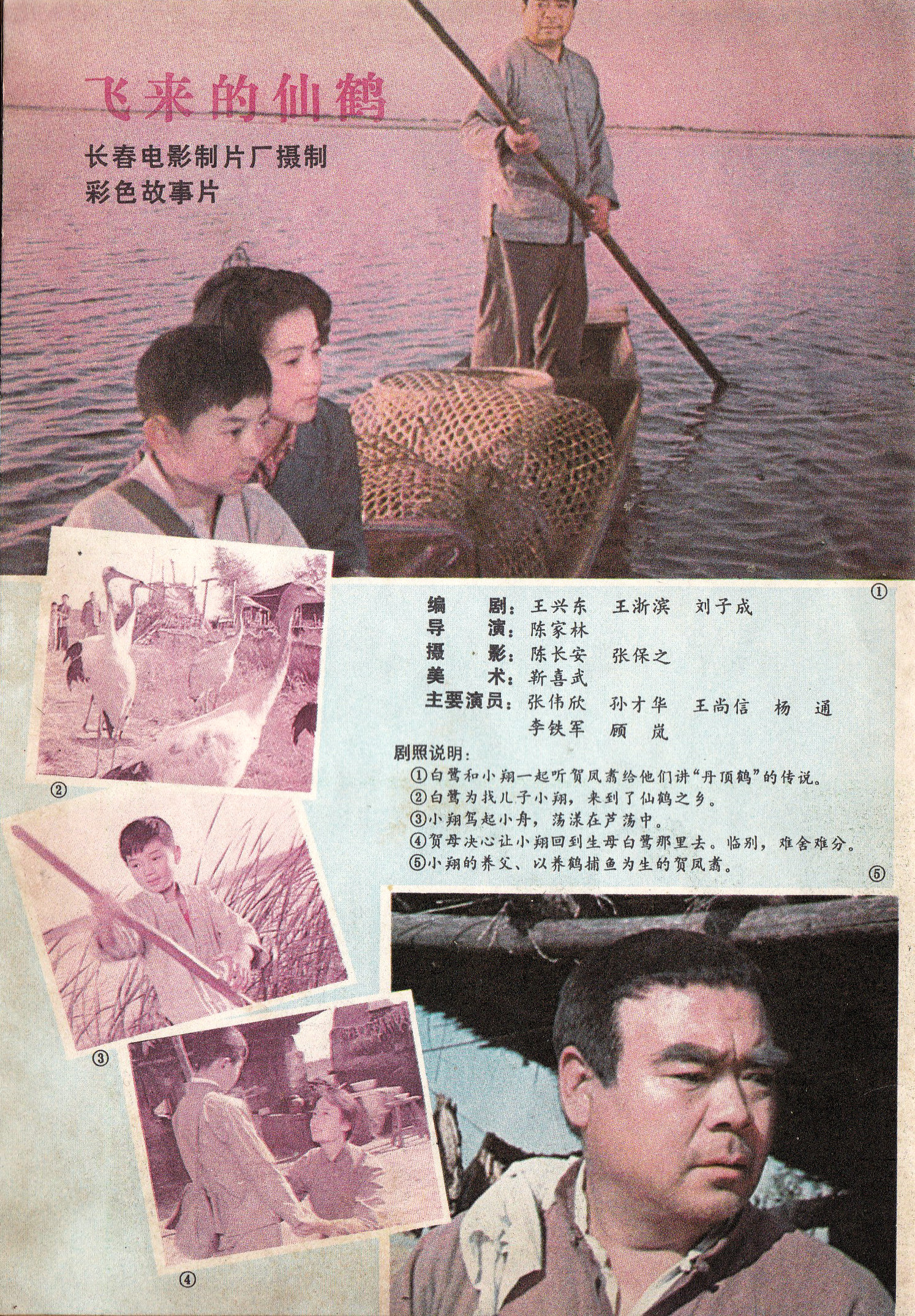 飞来的仙鹤的海报-其他海报