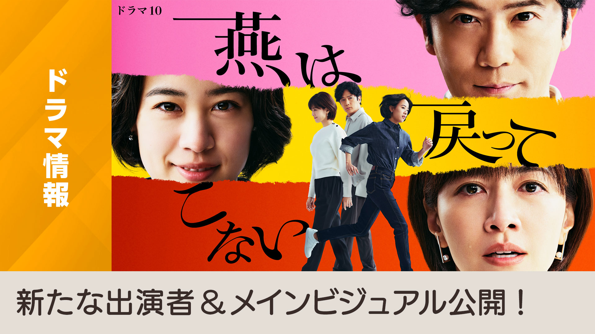 燕子不再归来的海报-正式海报