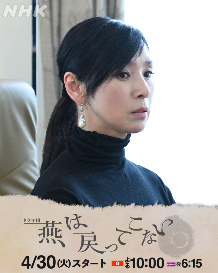 燕子不再归来的海报-角色海报