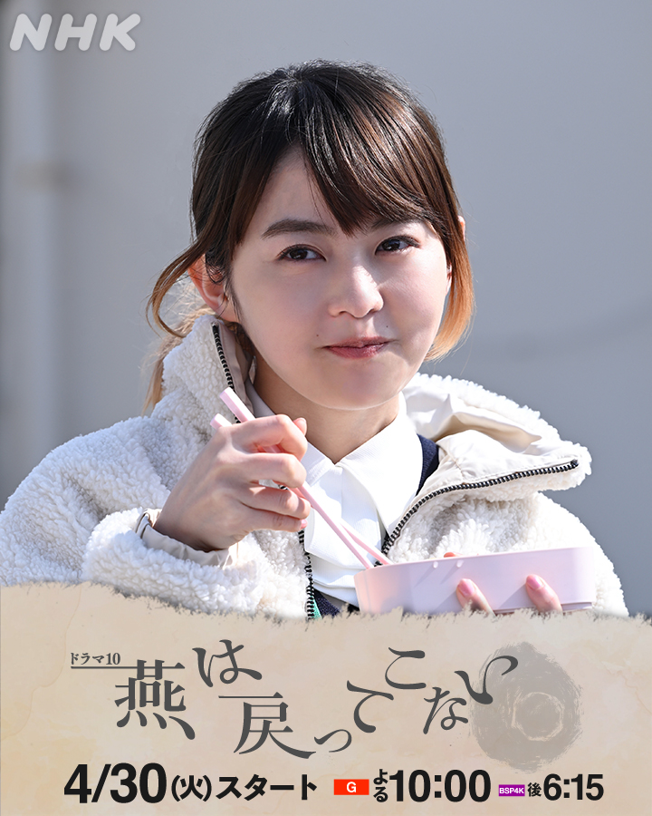 燕子不再归来的海报-角色海报