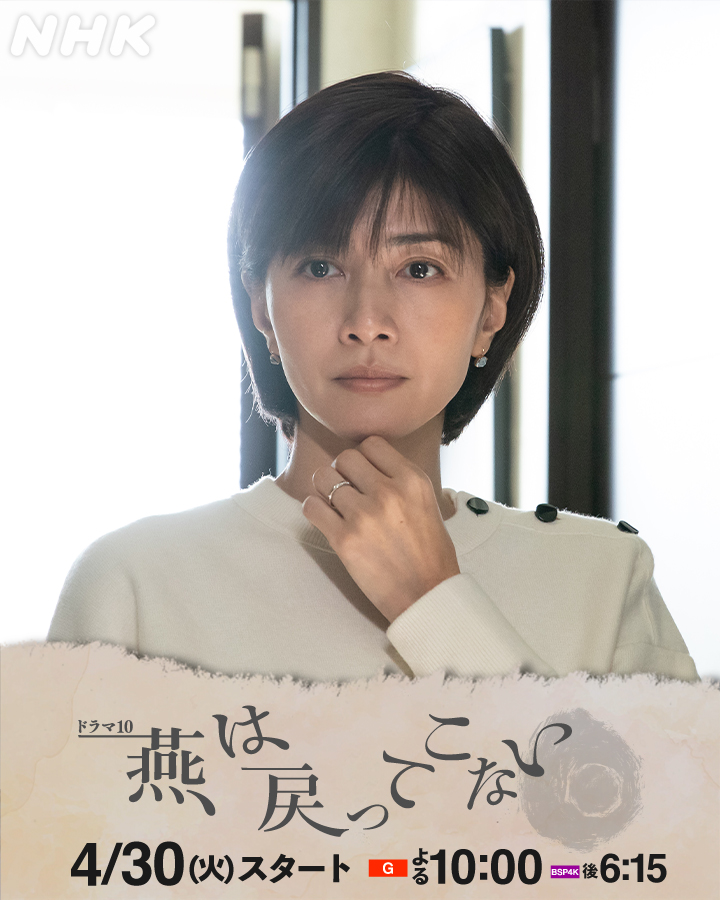 燕子不再归来的海报-角色海报