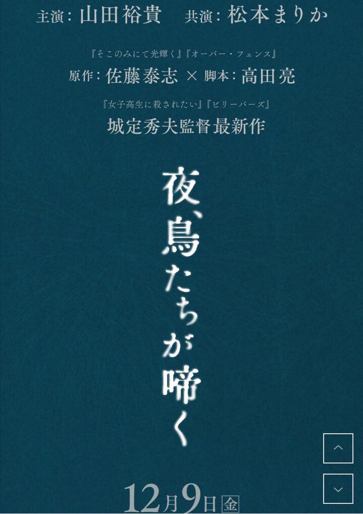 夜鸟啼鸣的海报-正式海报