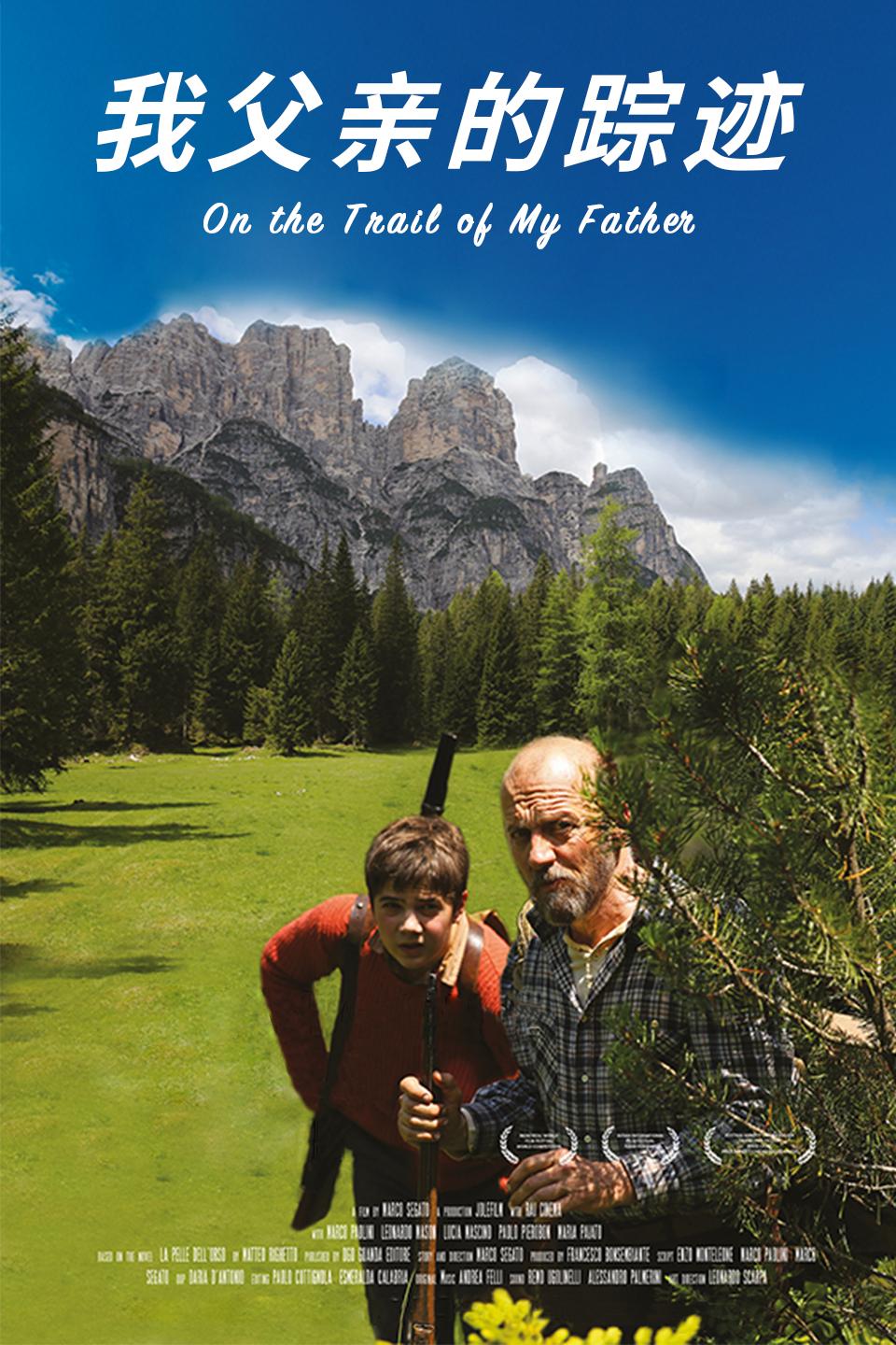 我父亲的踪迹的海报-正式海报