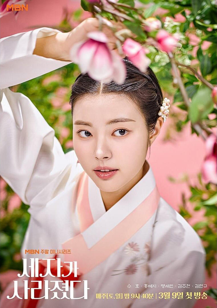 世子消失了的海报-角色海报 韩国