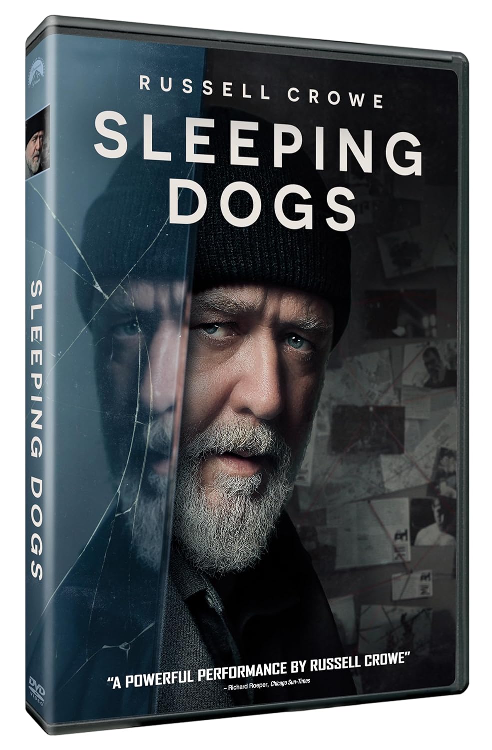 沉睡烈犬的海报-其他海报