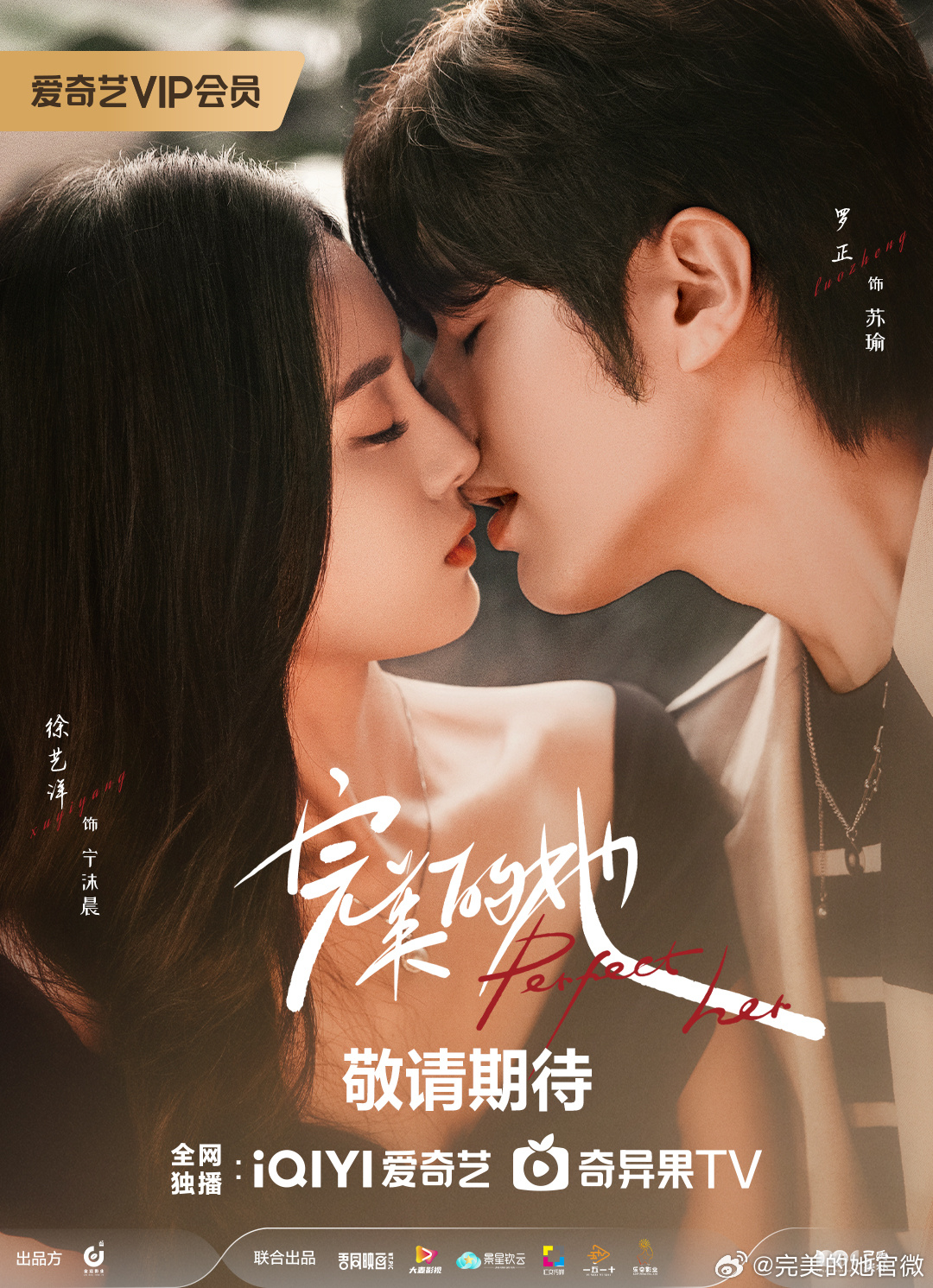 完美的她的海报-正式海报