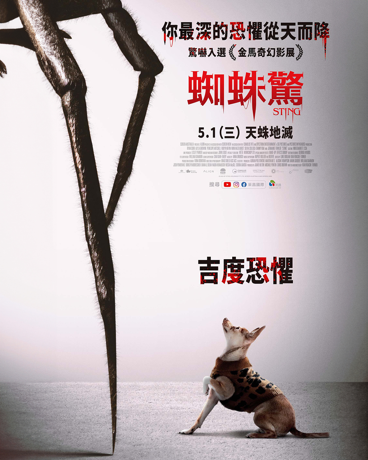 屋中异蛛的海报-正式海报 中国台湾