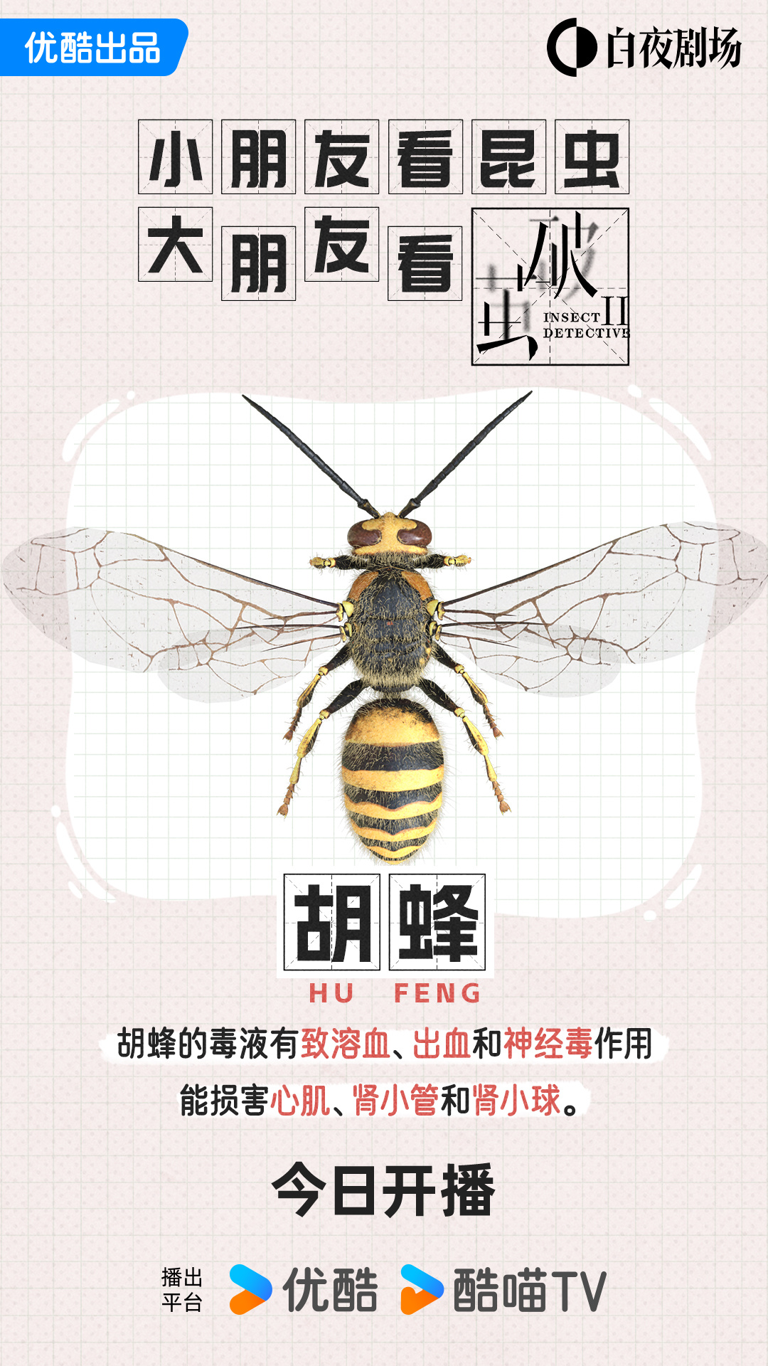 破茧2的海报-角色海报