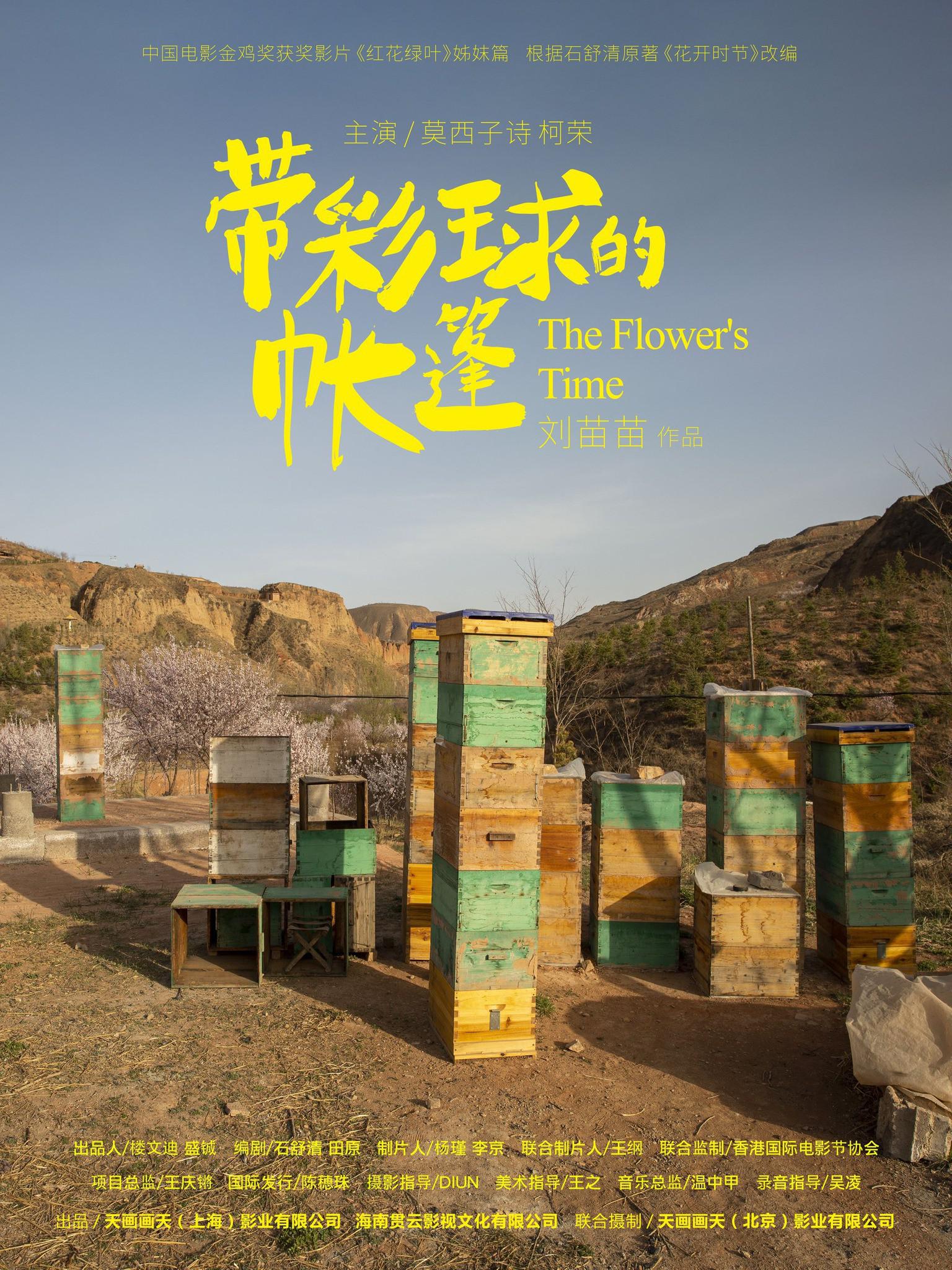 带彩球的帐篷的海报-预告海报 中国大陆