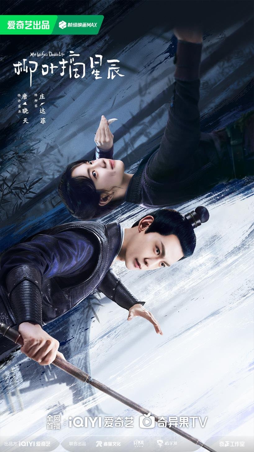 柳叶摘星辰的海报-正式海报