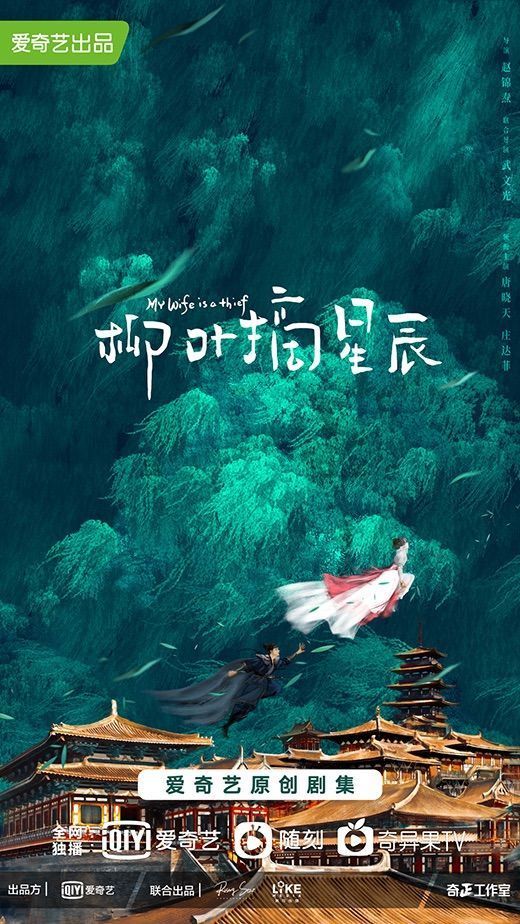 柳叶摘星辰的海报-预告海报