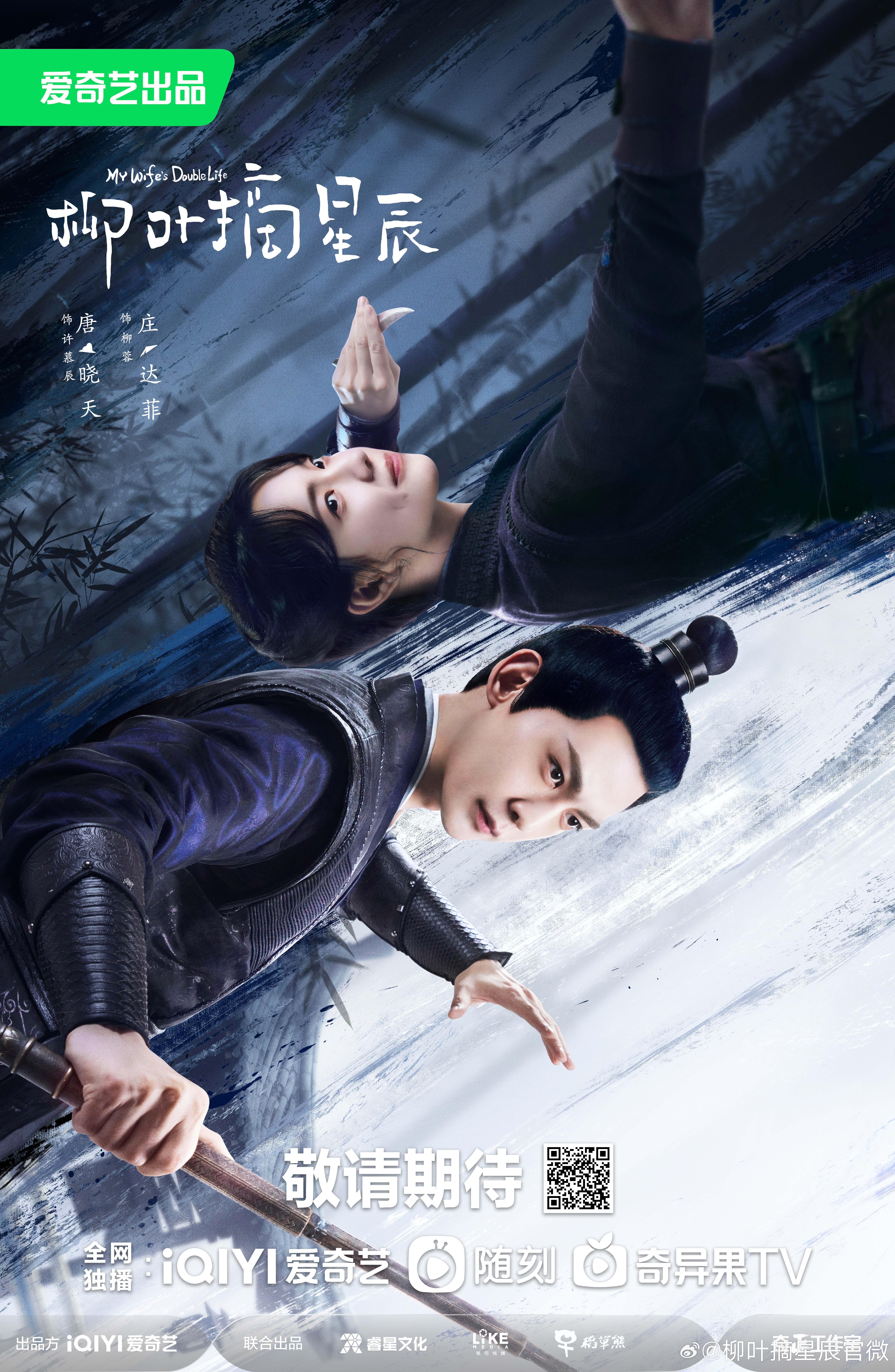 柳叶摘星辰的海报-预告海报 中国大陆