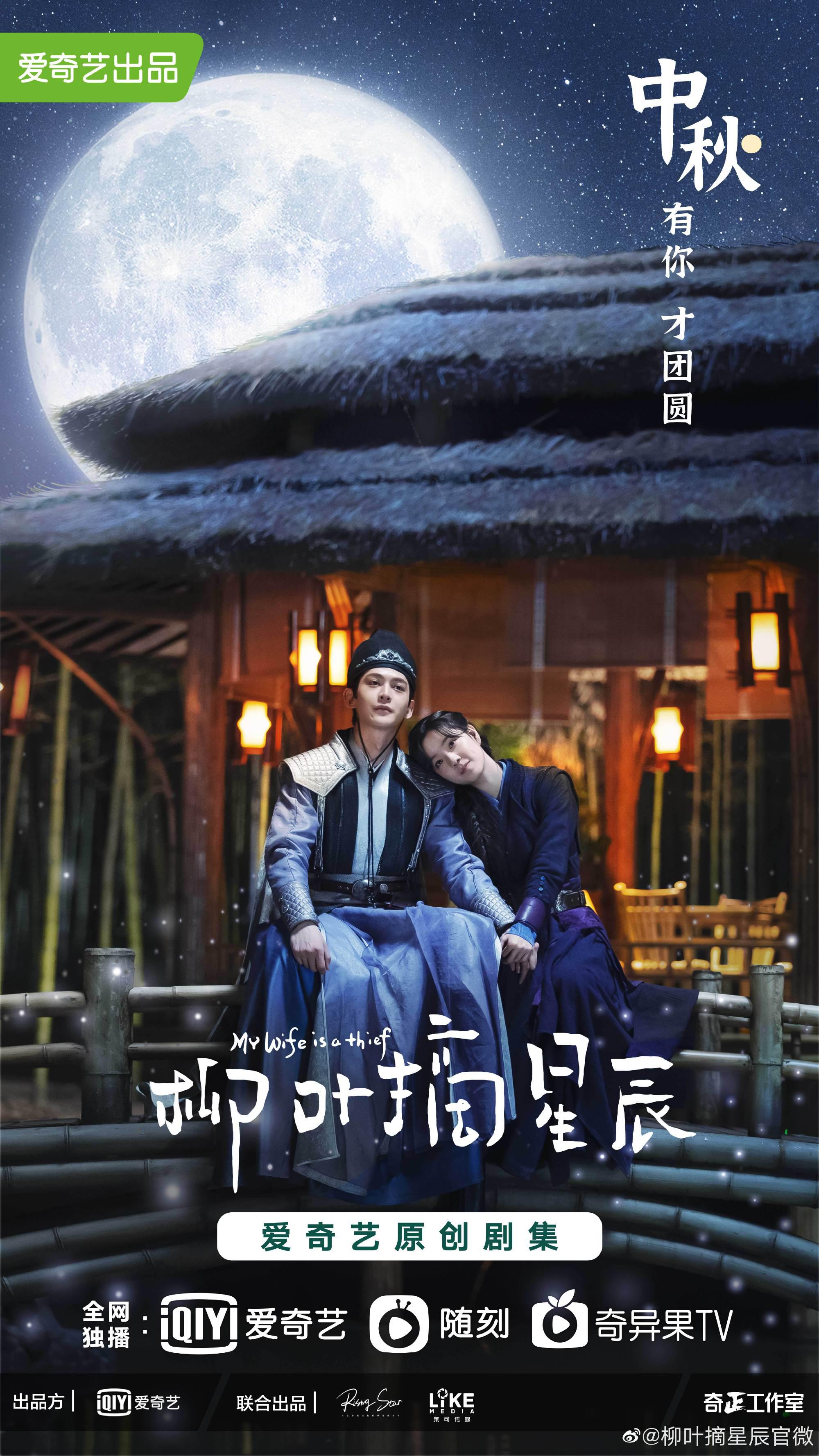 柳叶摘星辰的海报-预告海报