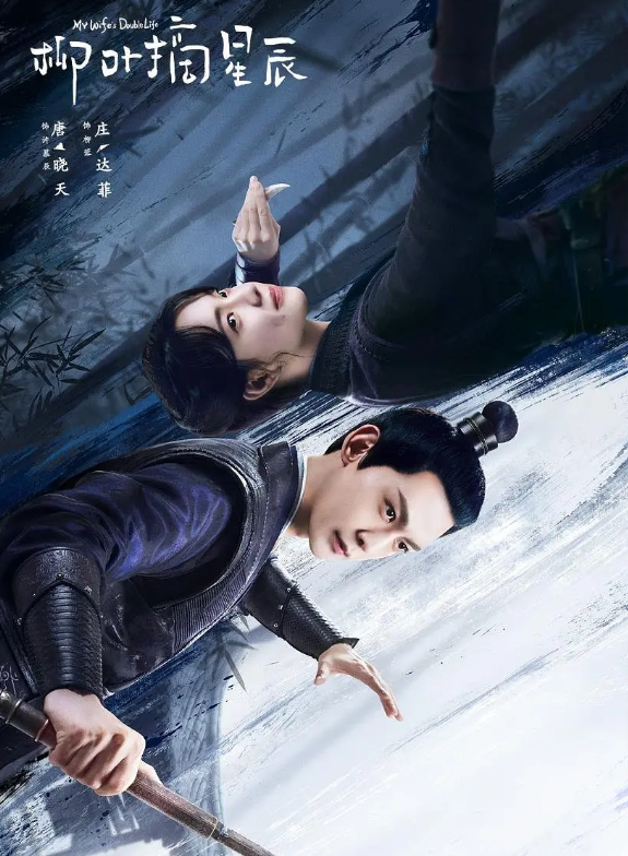 柳叶摘星辰的海报-其他海报 中国大陆