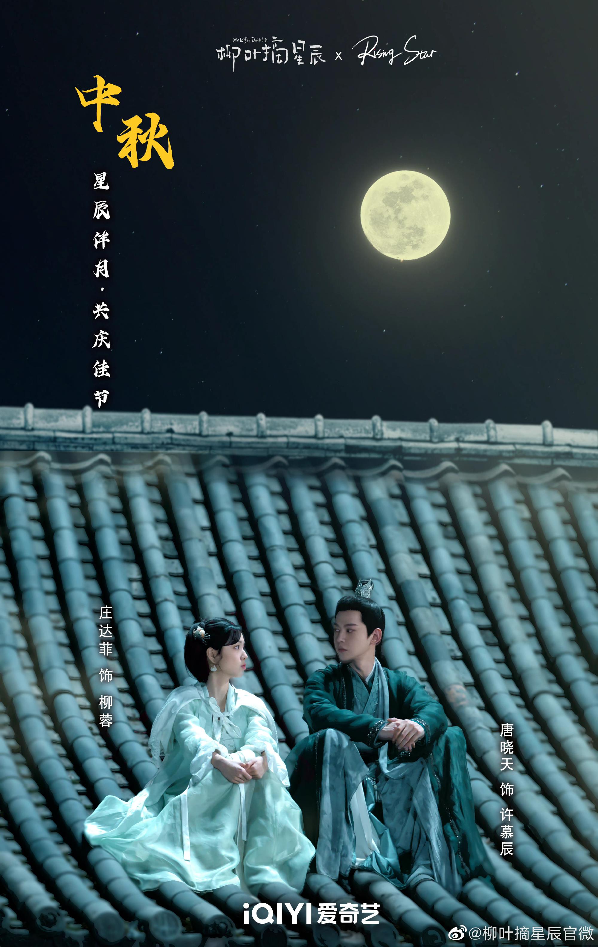 柳叶摘星辰的海报-其他海报