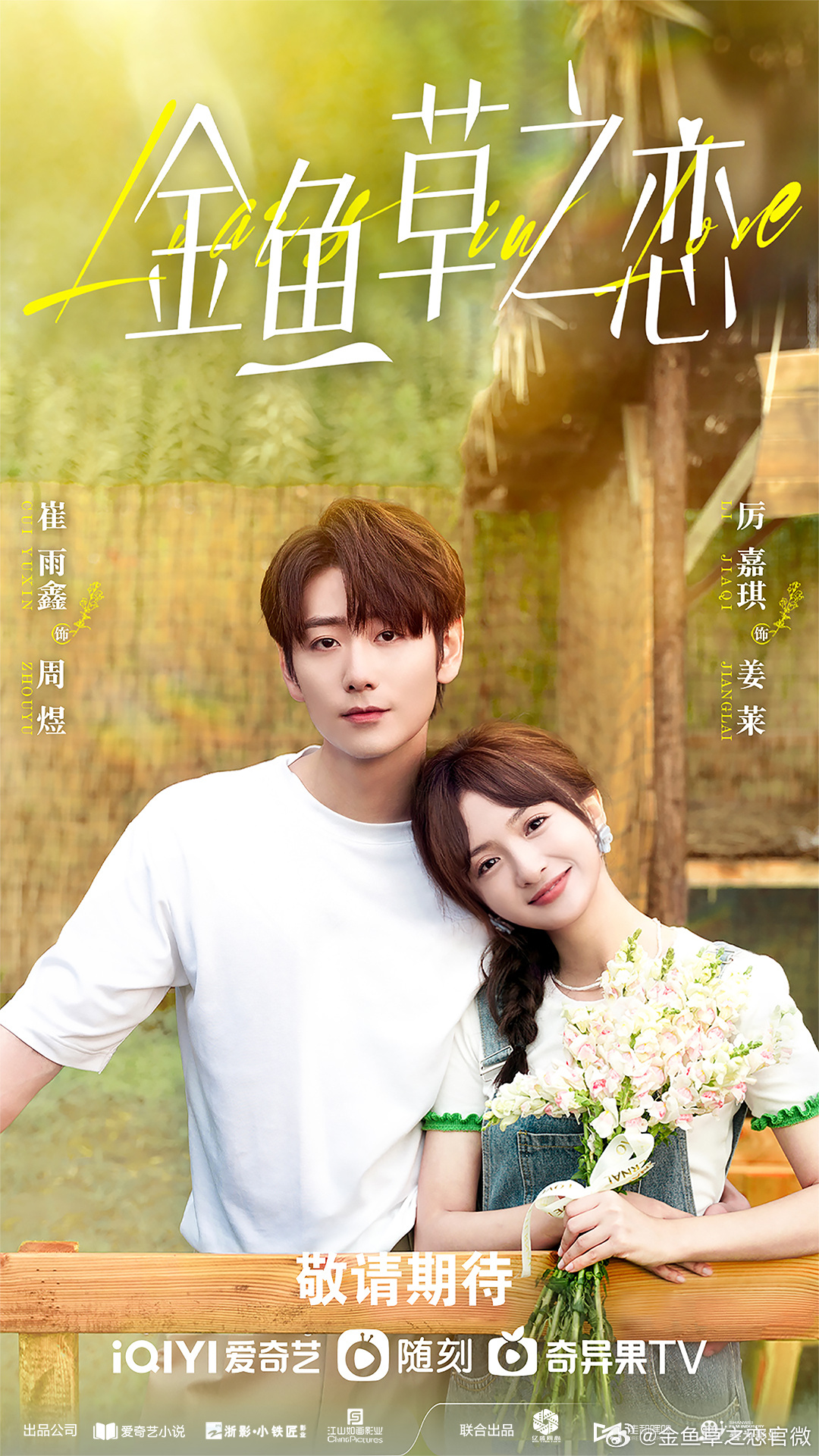 无法抗拒的谎言的海报-预告海报 中国大陆