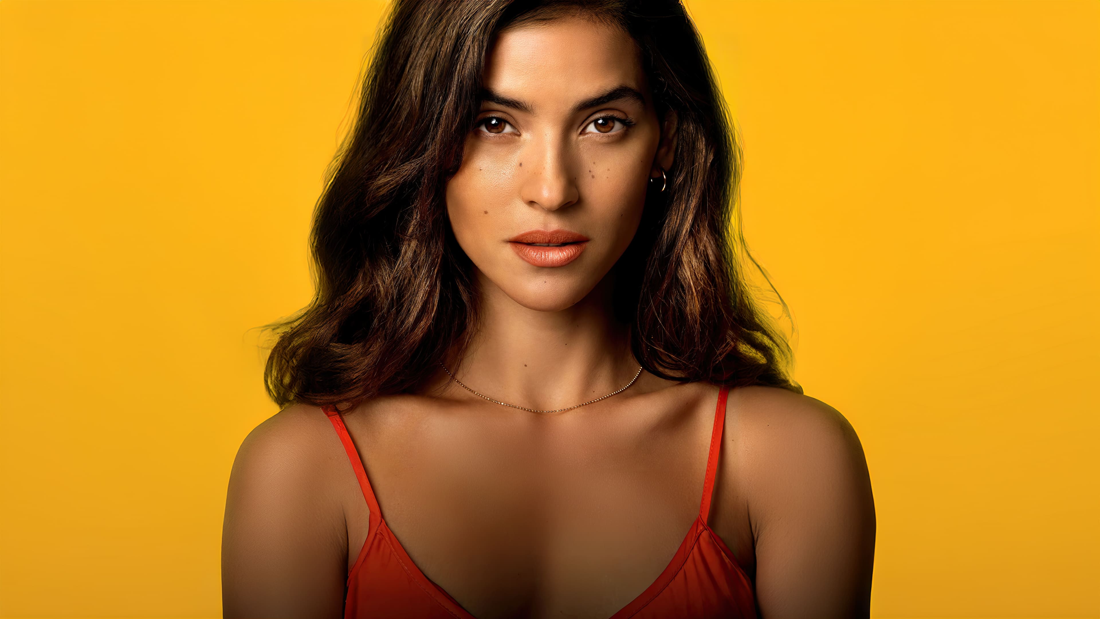 职业杀手的海报-其他海报