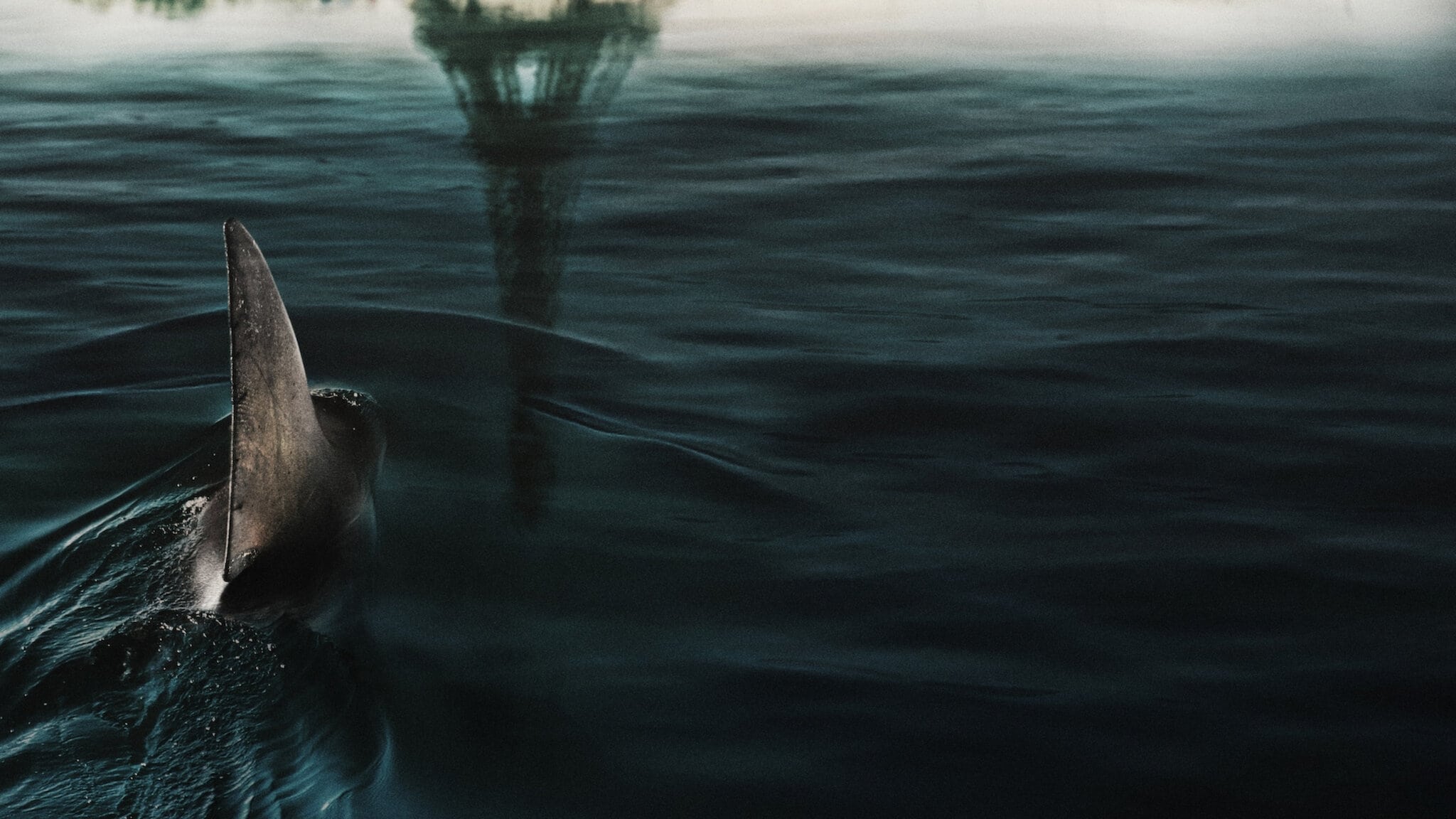 巴黎深渊的海报-其他海报