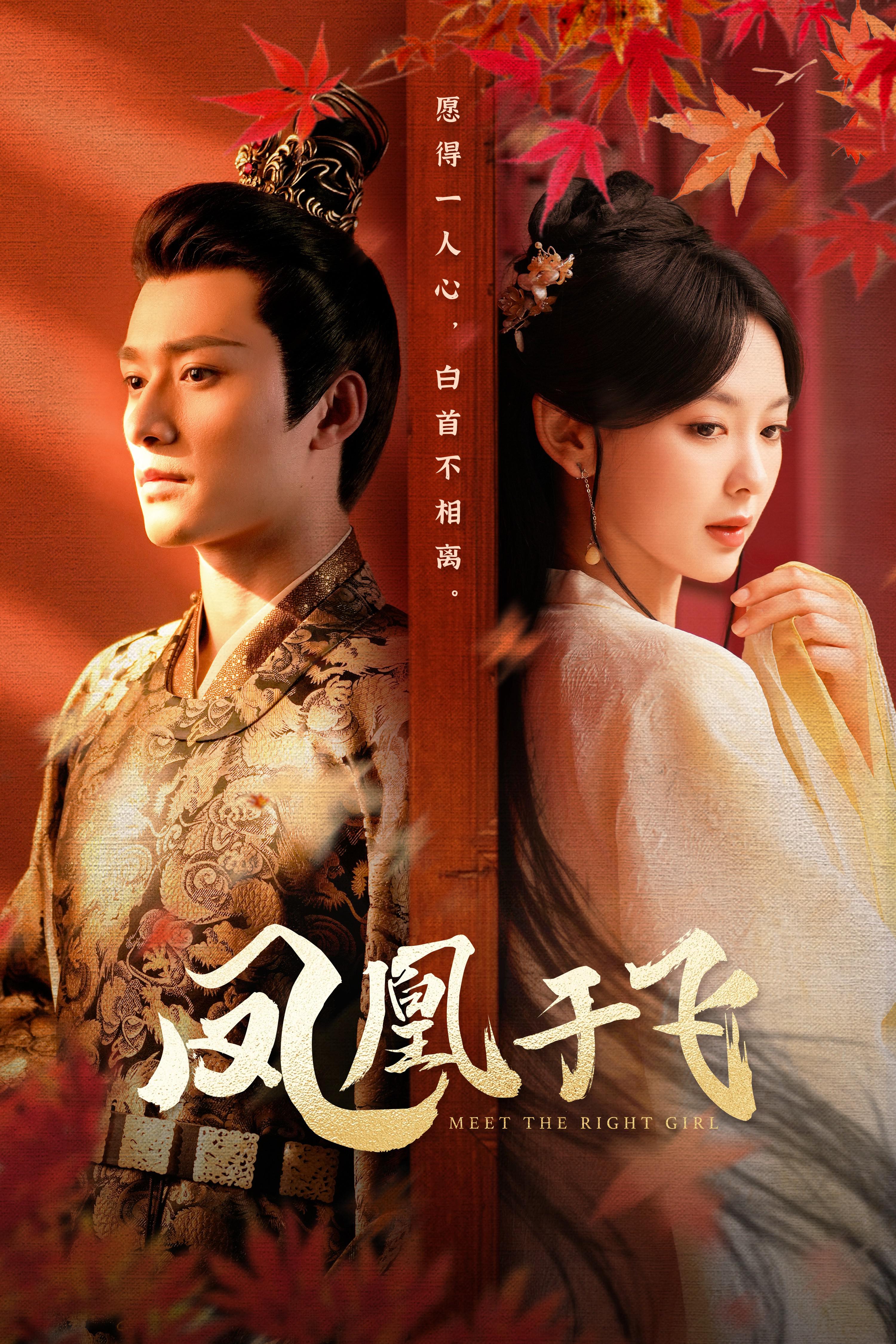 凤凰于飞的海报-正式海报