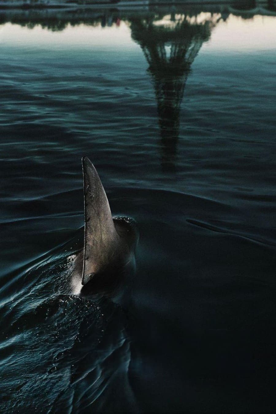 巴黎深渊的海报-其他海报