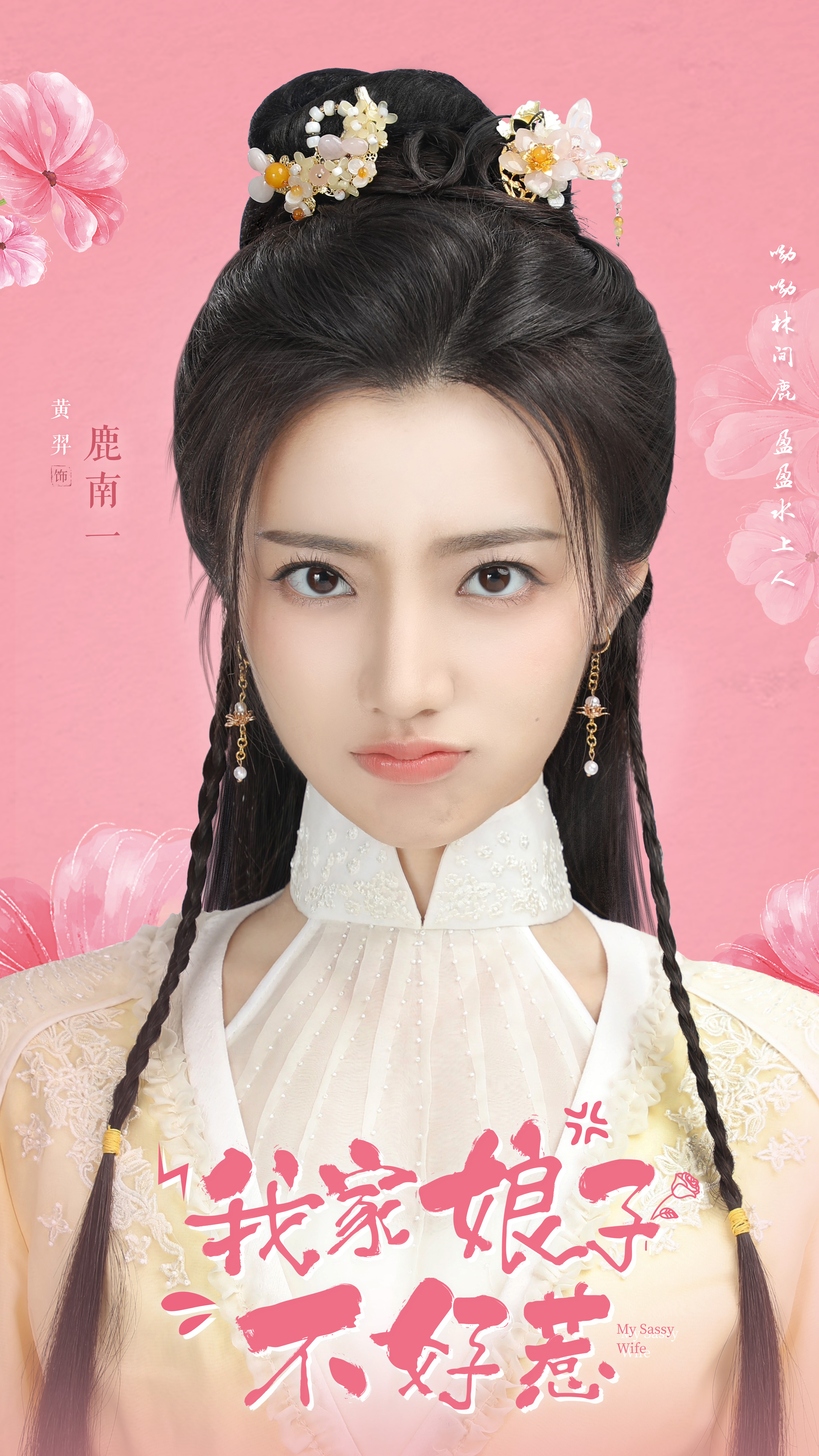 我家娘子惹不起的海报-角色海报