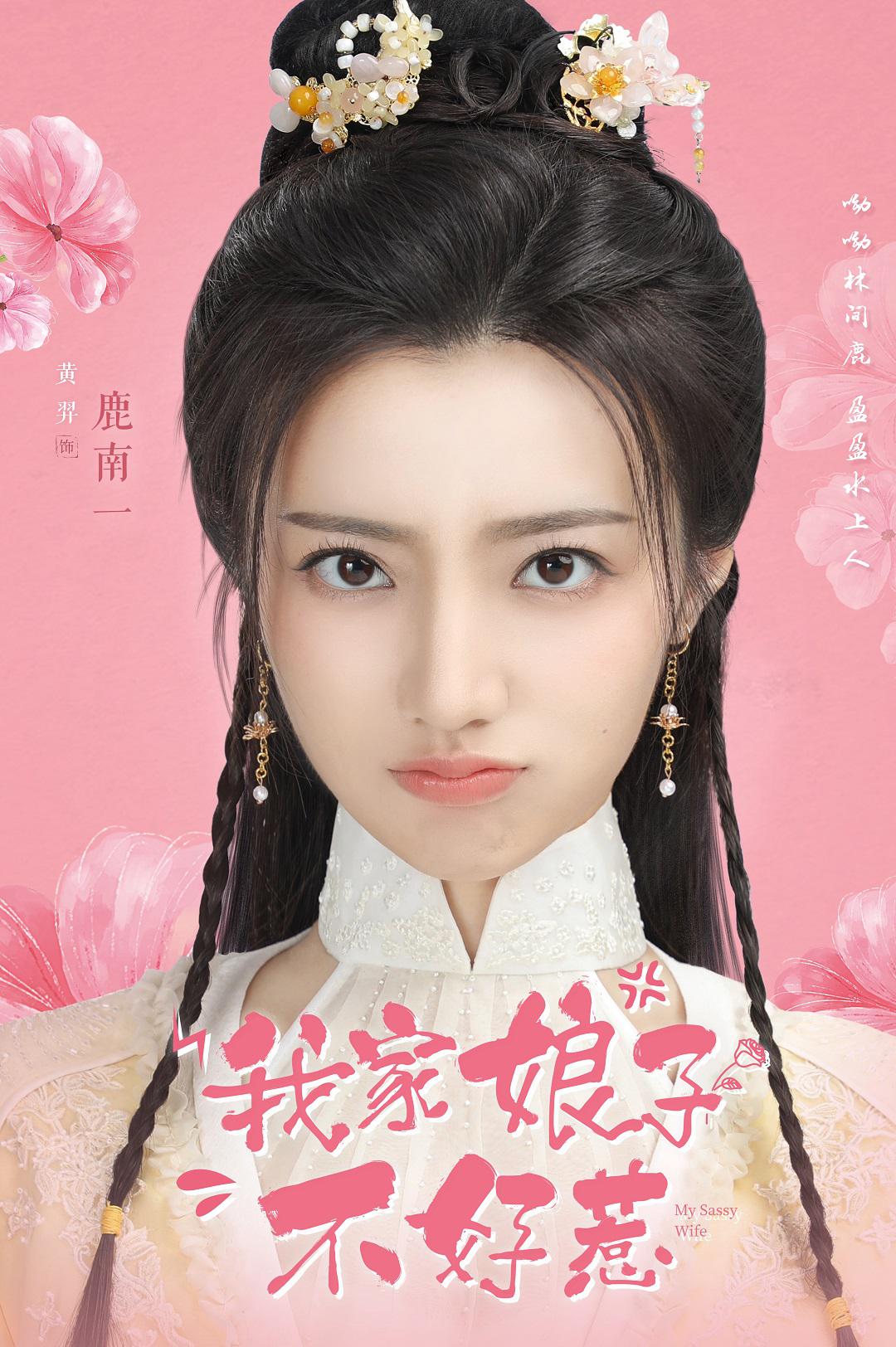 我家娘子惹不起的海报-正式海报