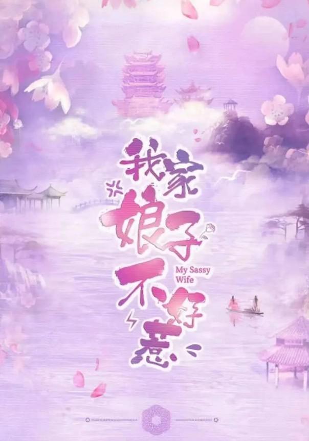 我家娘子惹不起的海报-正式海报