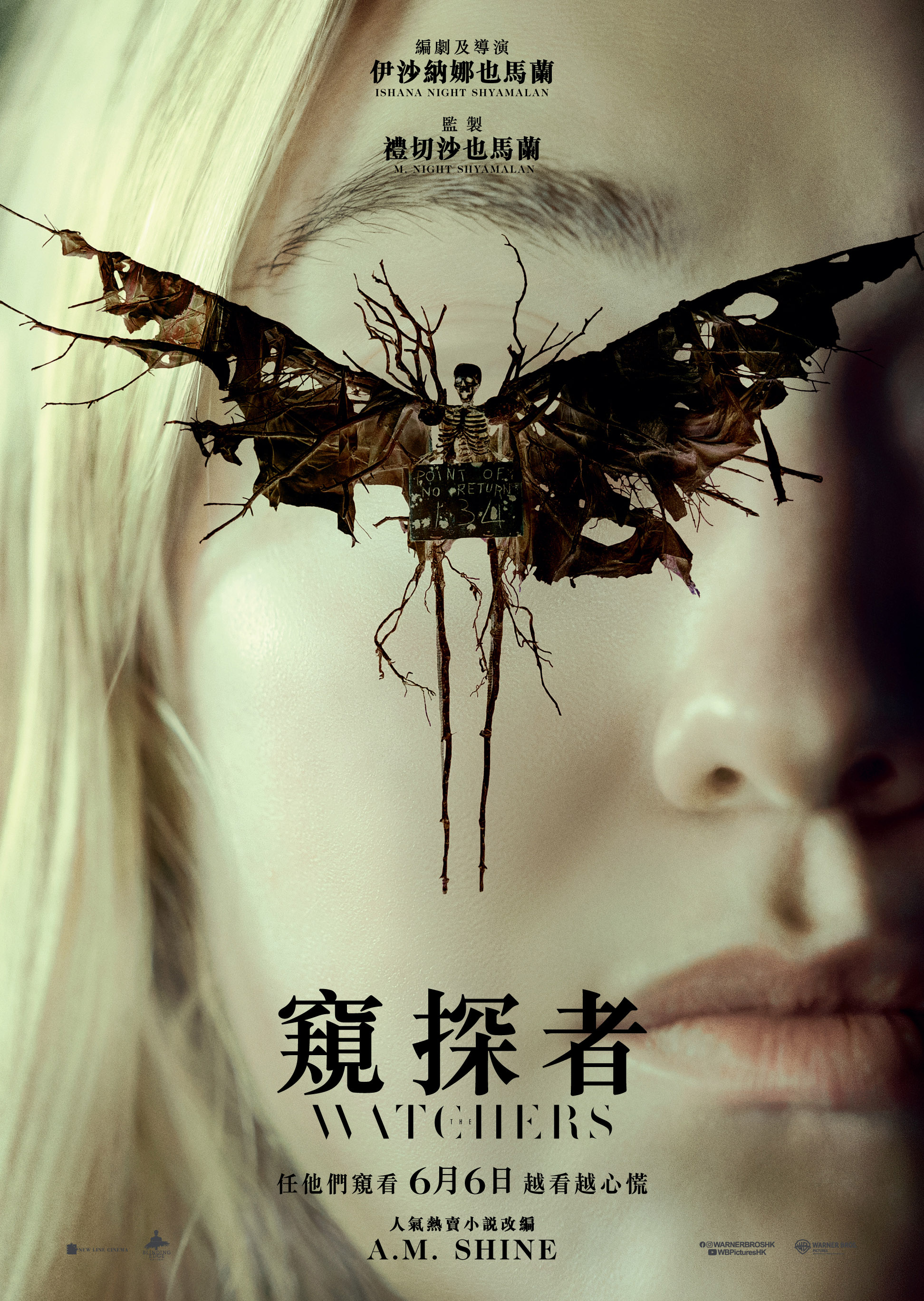 神秘窥视的海报-正式海报 中国香港