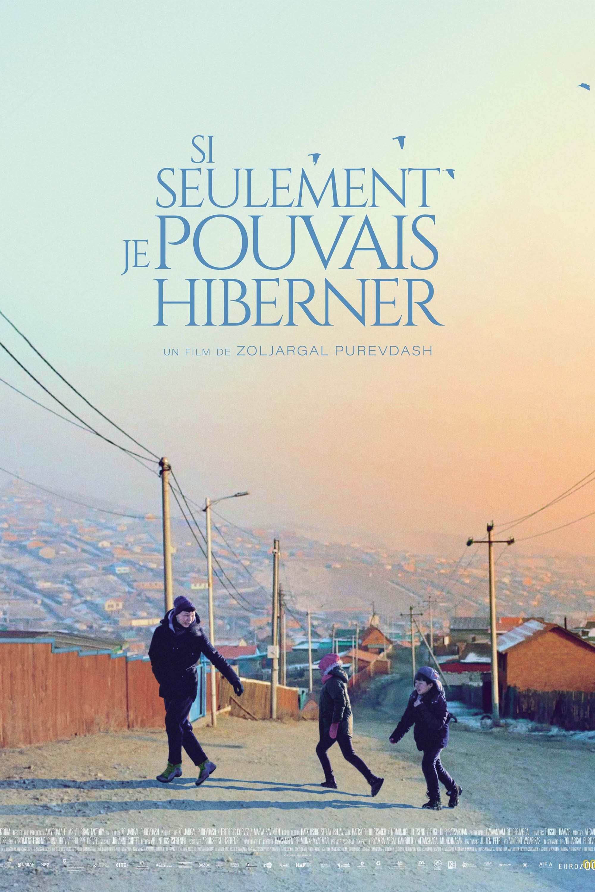 如果我能冬眠的海报-预告海报