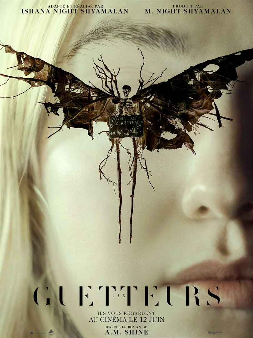 神秘窥视的海报-正式海报 法国